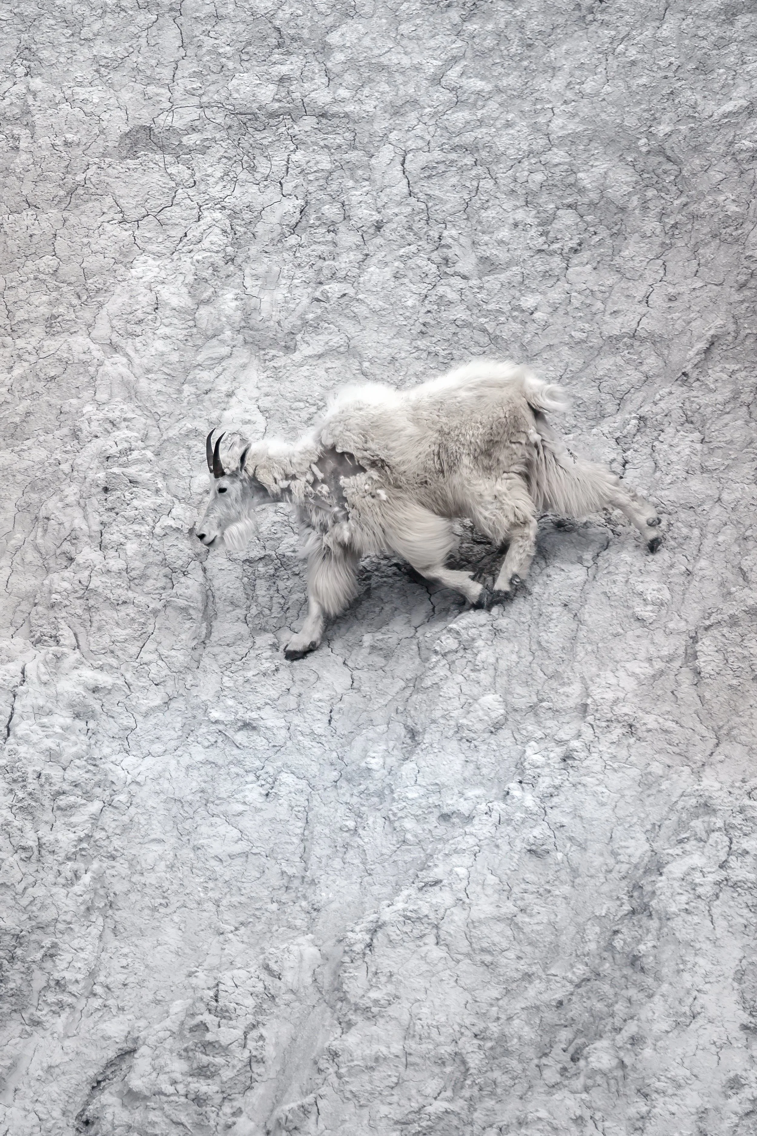 Week #7 | 9.12.25 – 9.19.25 |
Photo by Intrepid