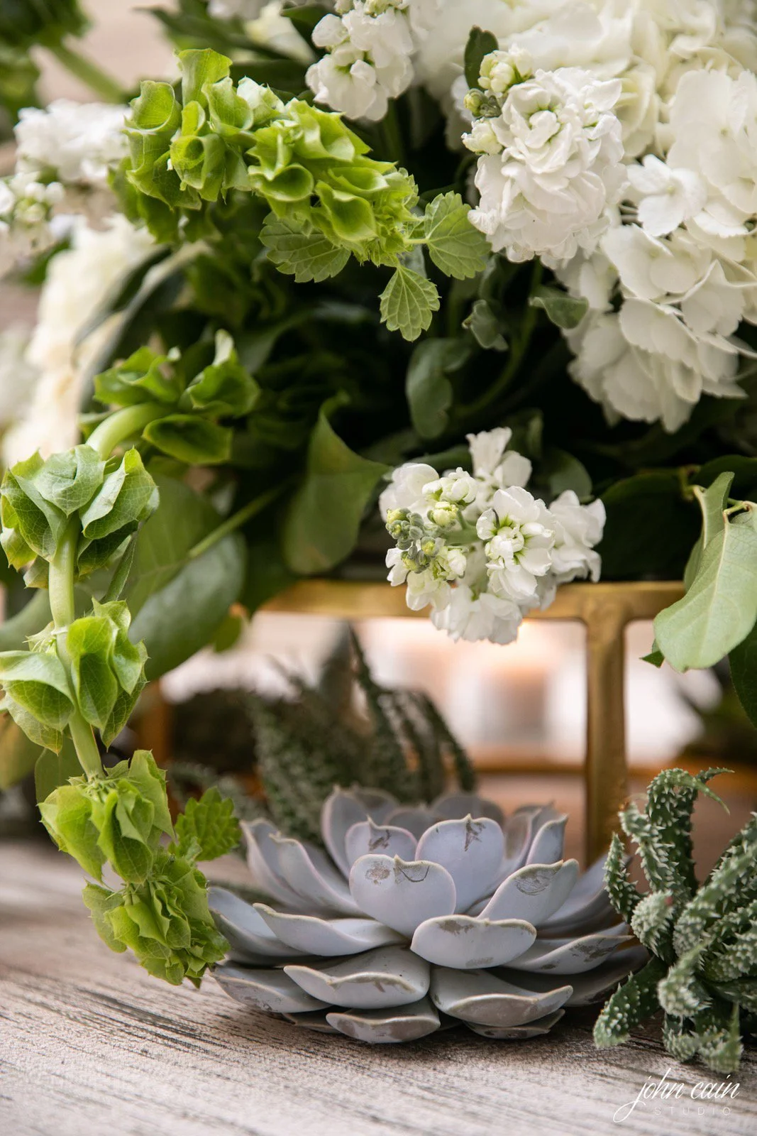 Photo Feb 12 2026, 11 03 35 AM.jpg