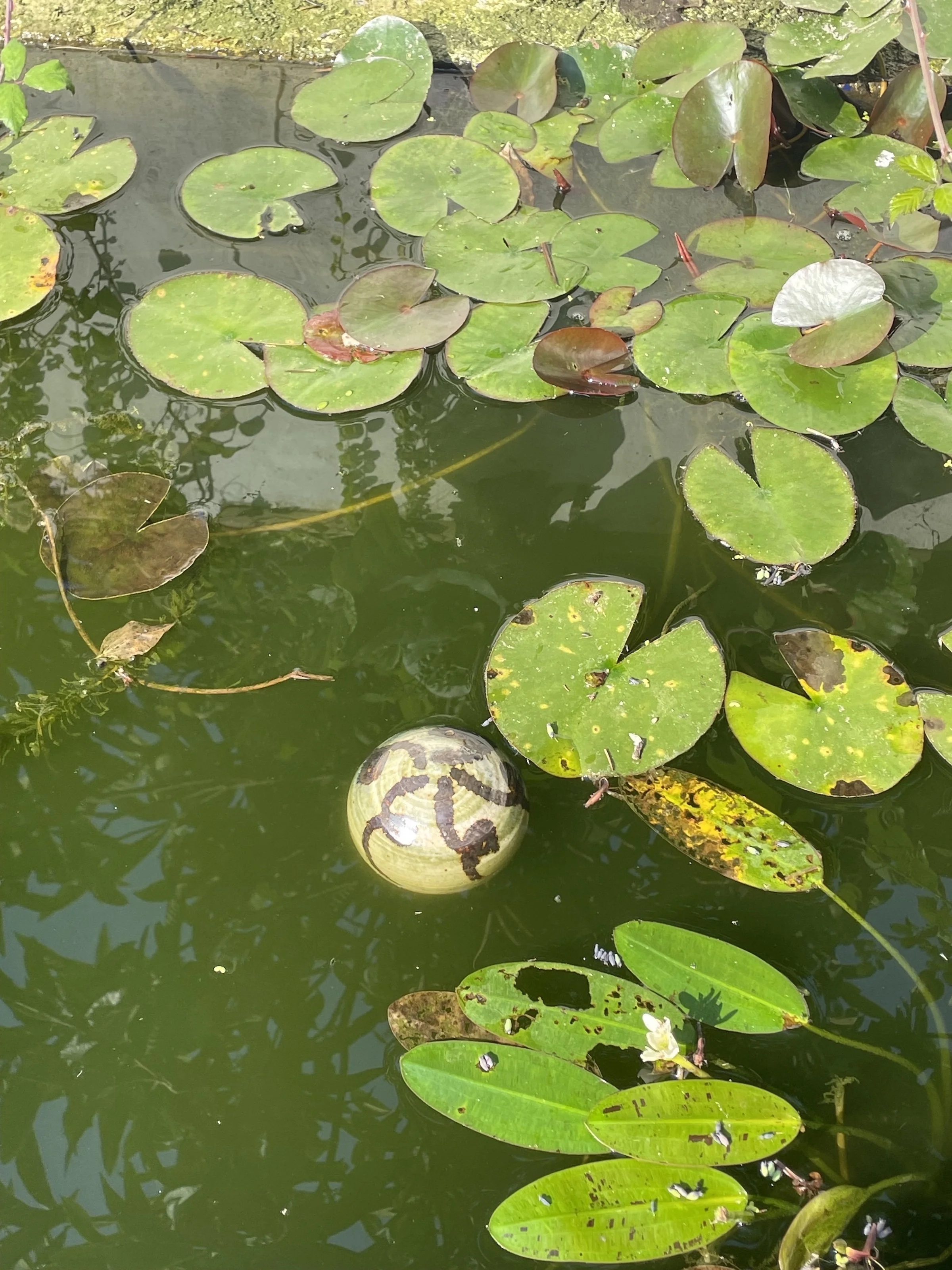 Pond Ornament.jpg