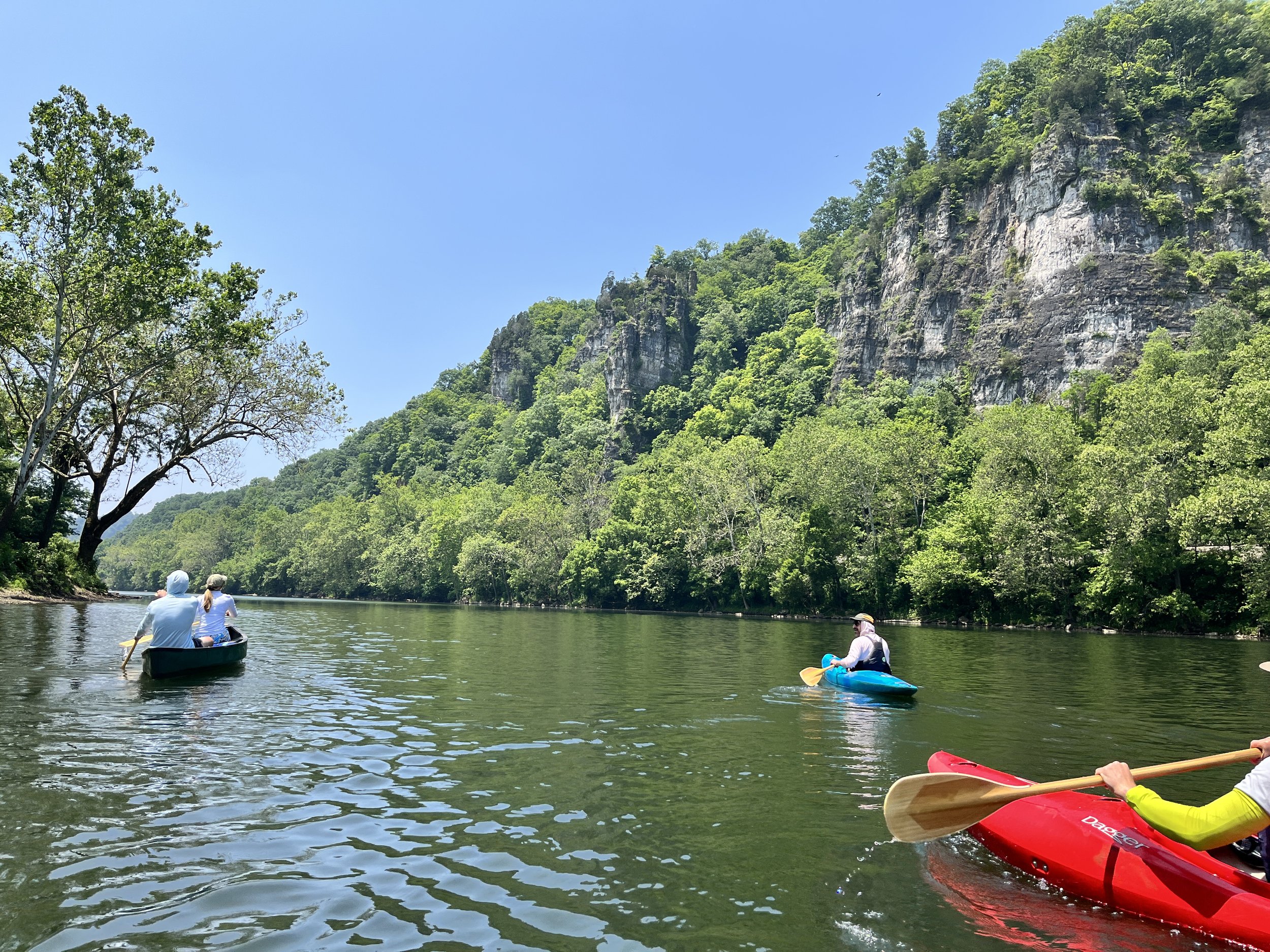 People kayaking on a calm river surrounded by lush green trees and tall rocky cliffs under a clear blue sky.