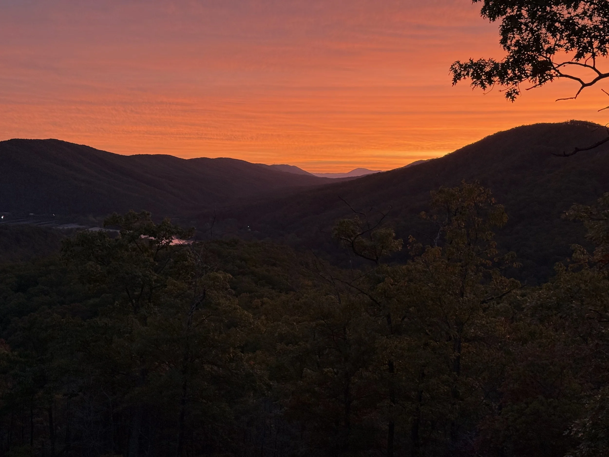 Sunset over mountains with a colorful sky and some tree branches in the foreground.