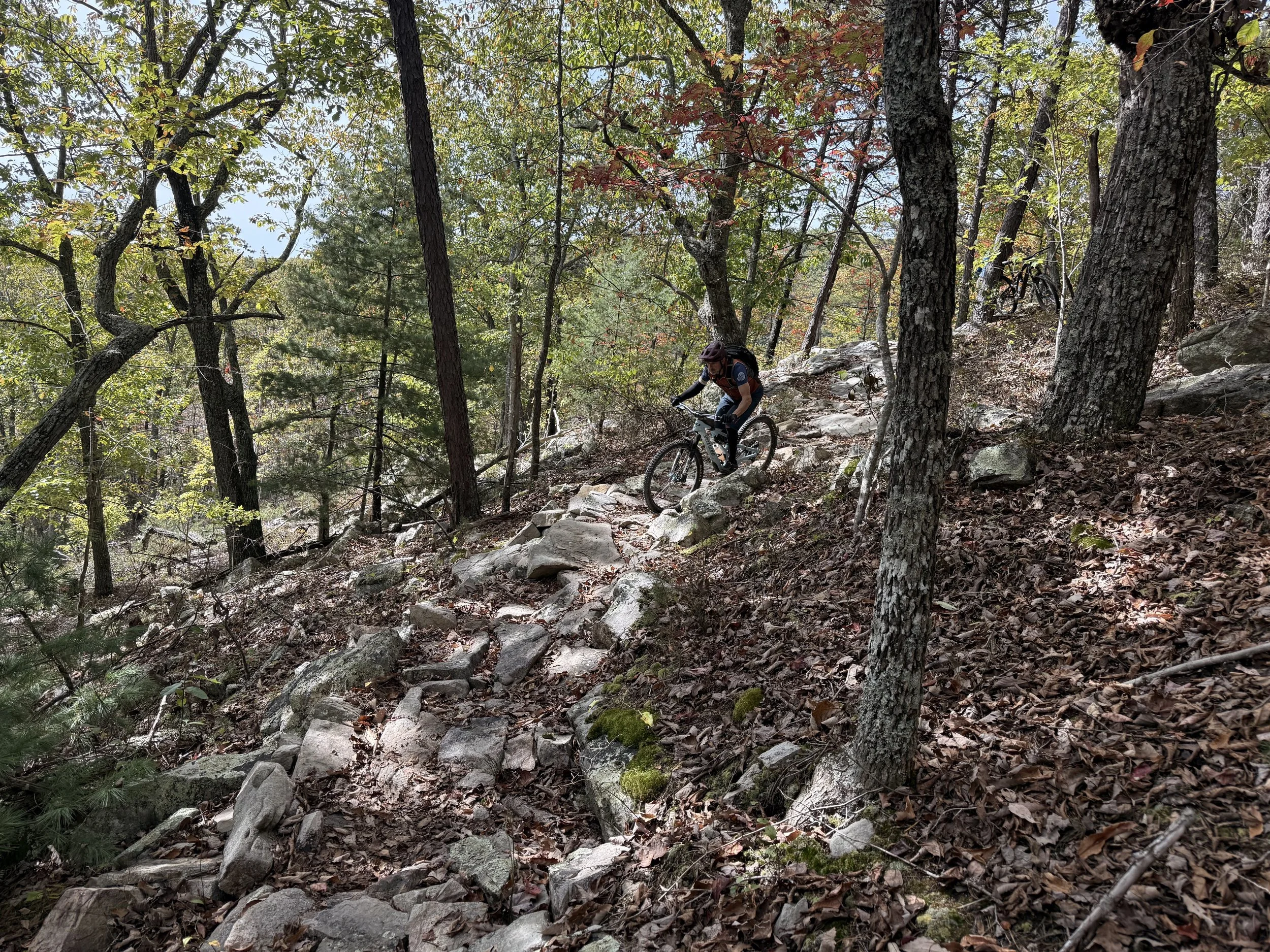 A mountain biker riding on a rocky trail through a forest with tall trees and green foliage.