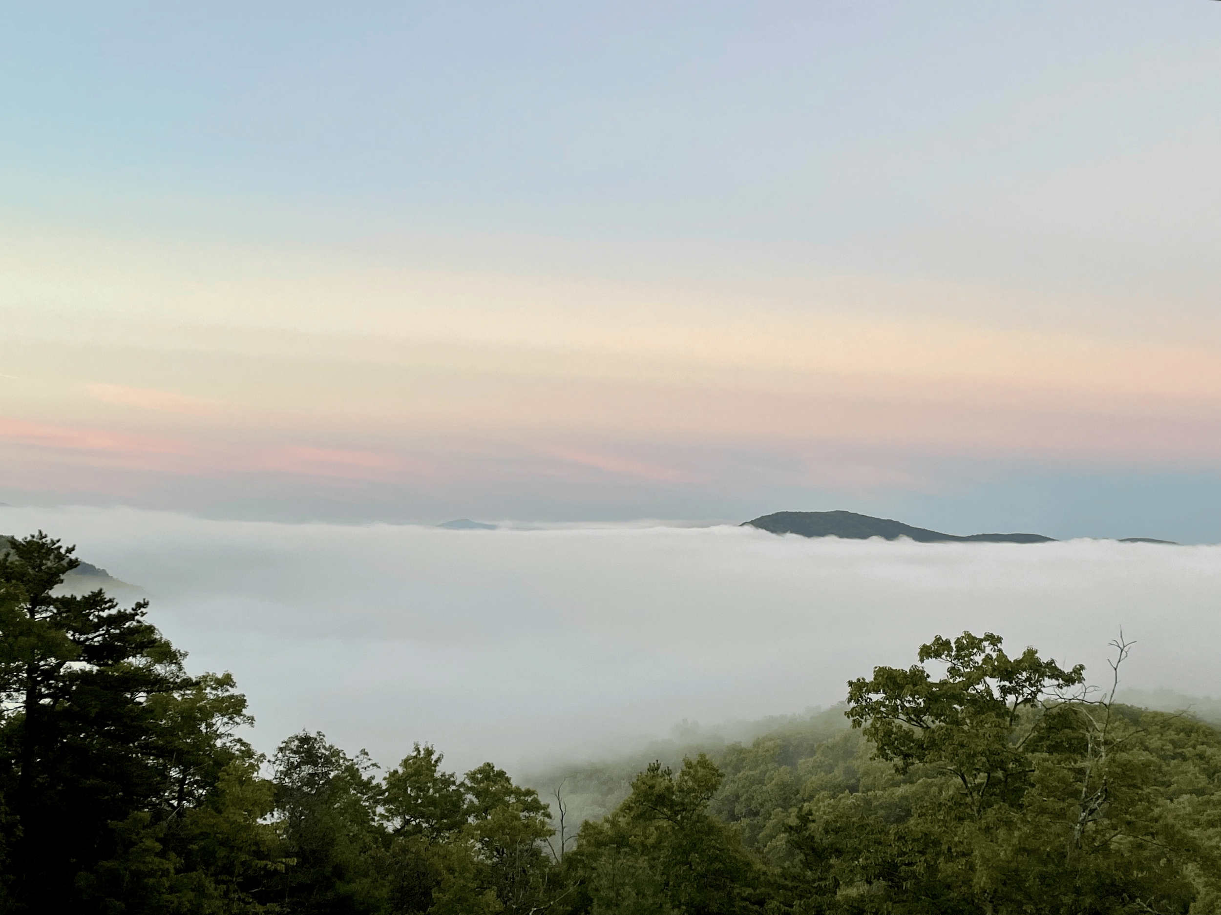 A scenic view of mountains shrouded in fog with trees in the foreground and a pastel-colored sky.