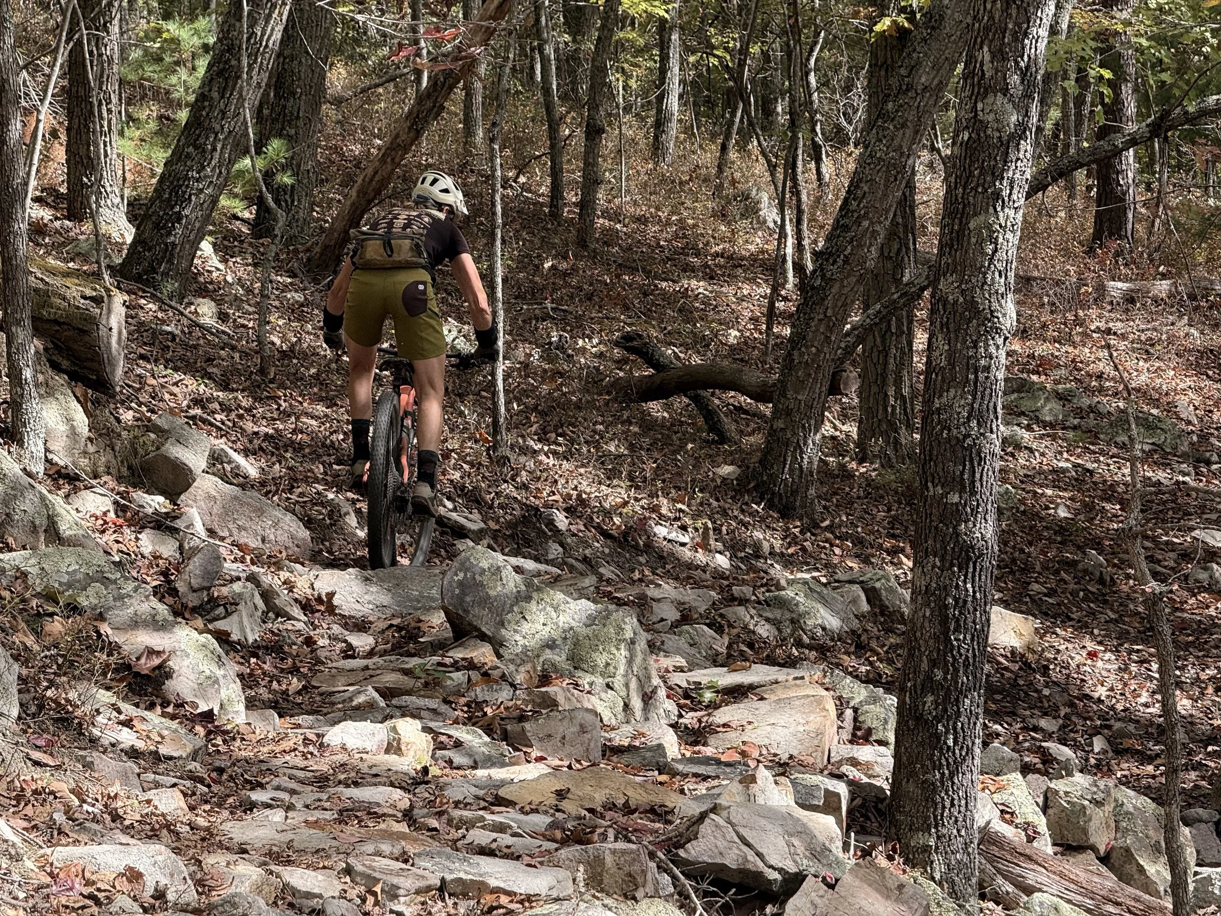 Person mountain biking on a rocky trail through a forested area with trees and fallen leaves.