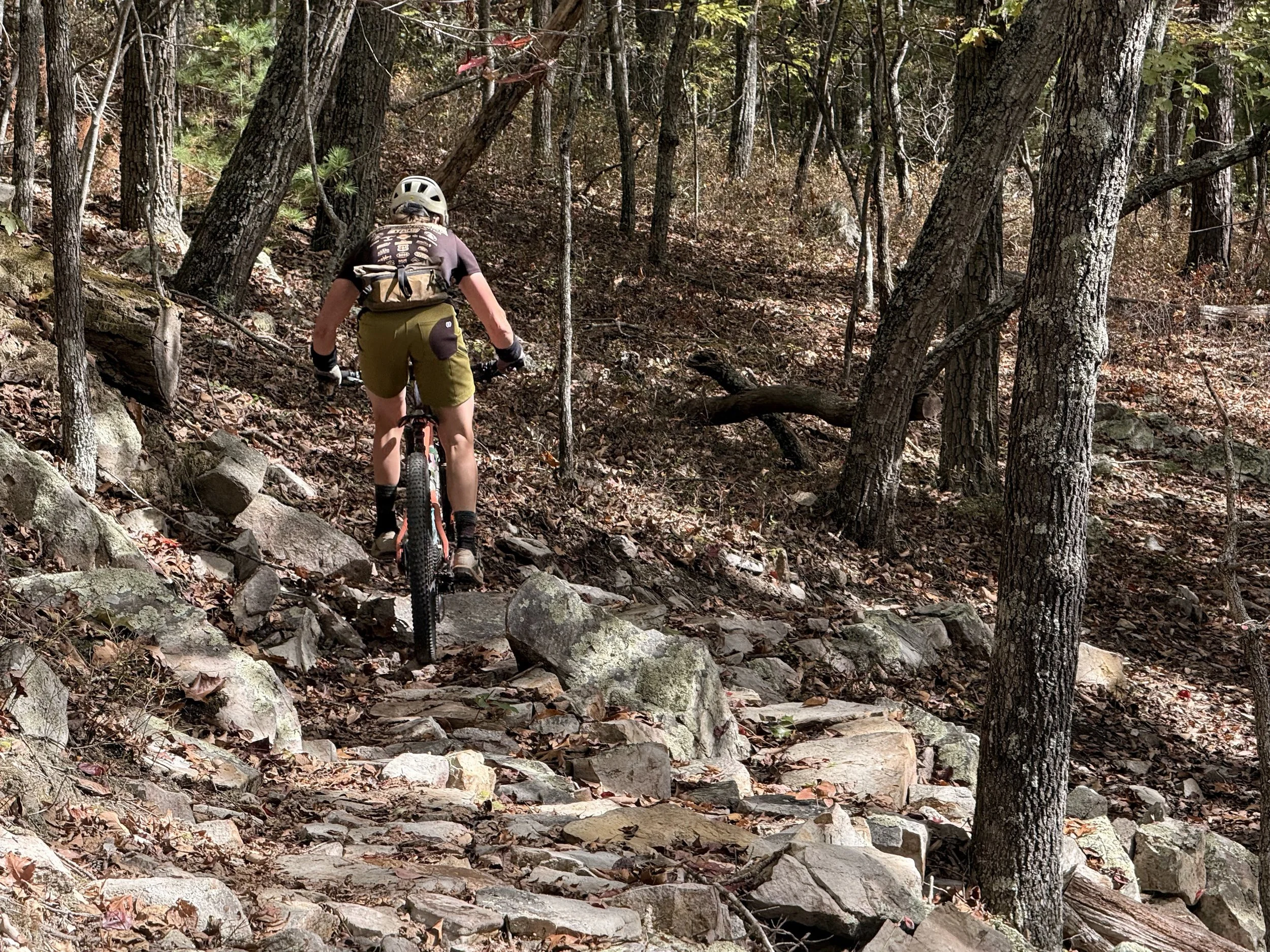 Person mountain biking up a rocky trail in a dense forest with tall trees and autumn leaves.