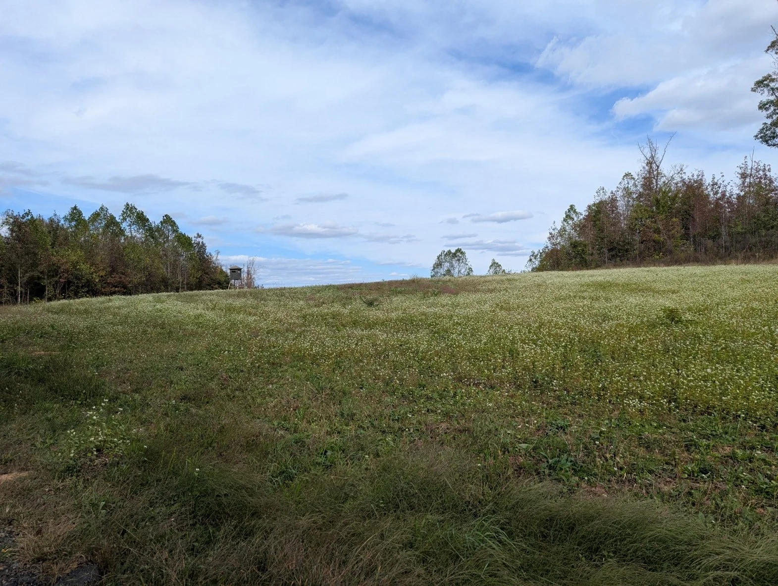 PXL_20251010_181259055.jpg