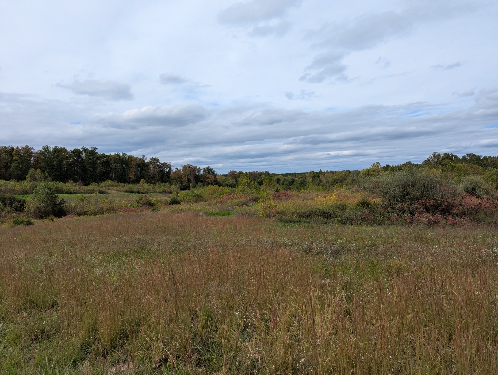 PXL_20251010_182718966.jpg