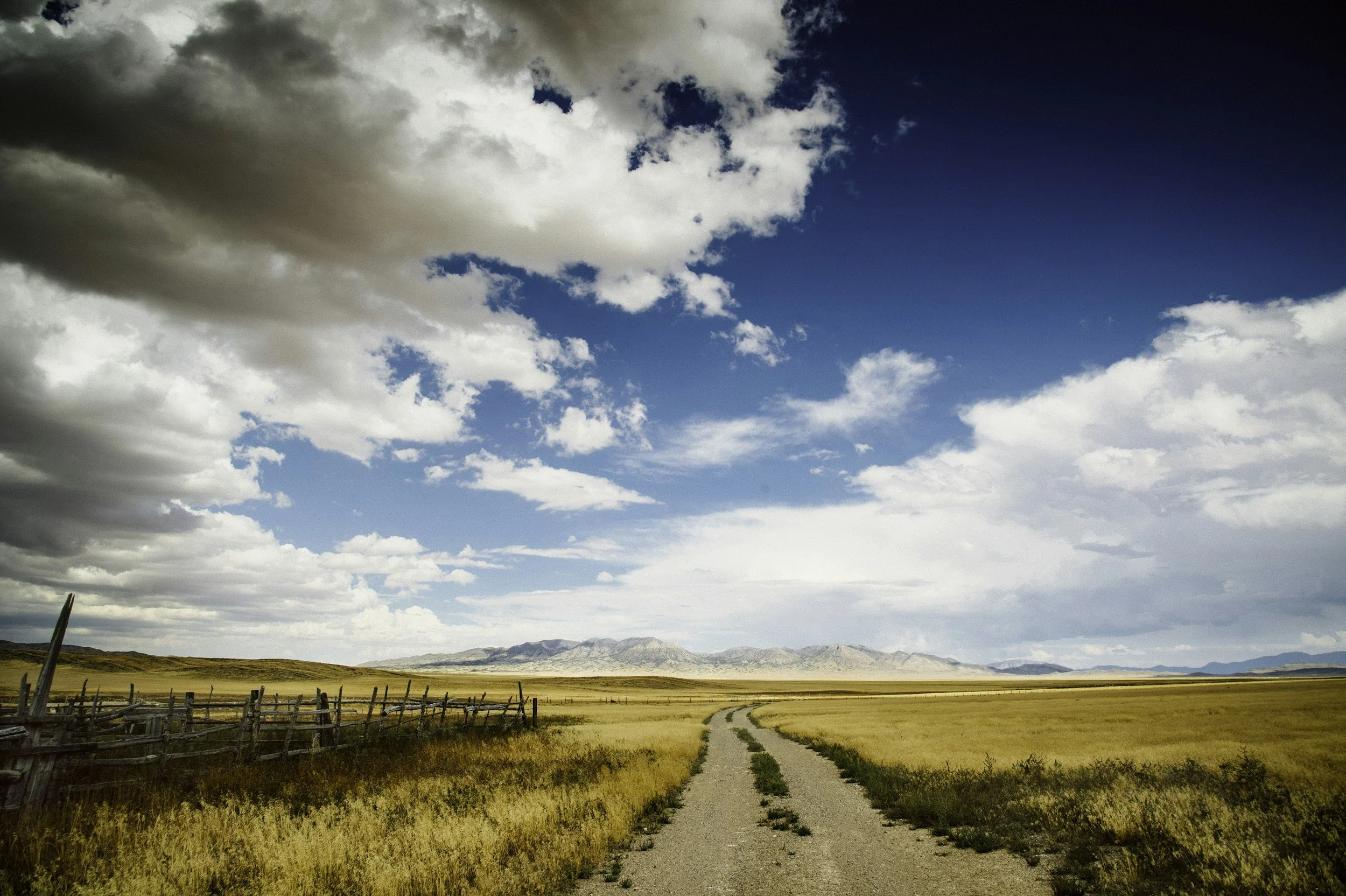 A dirt road winding through a yellow field under a partly cloudy sky.