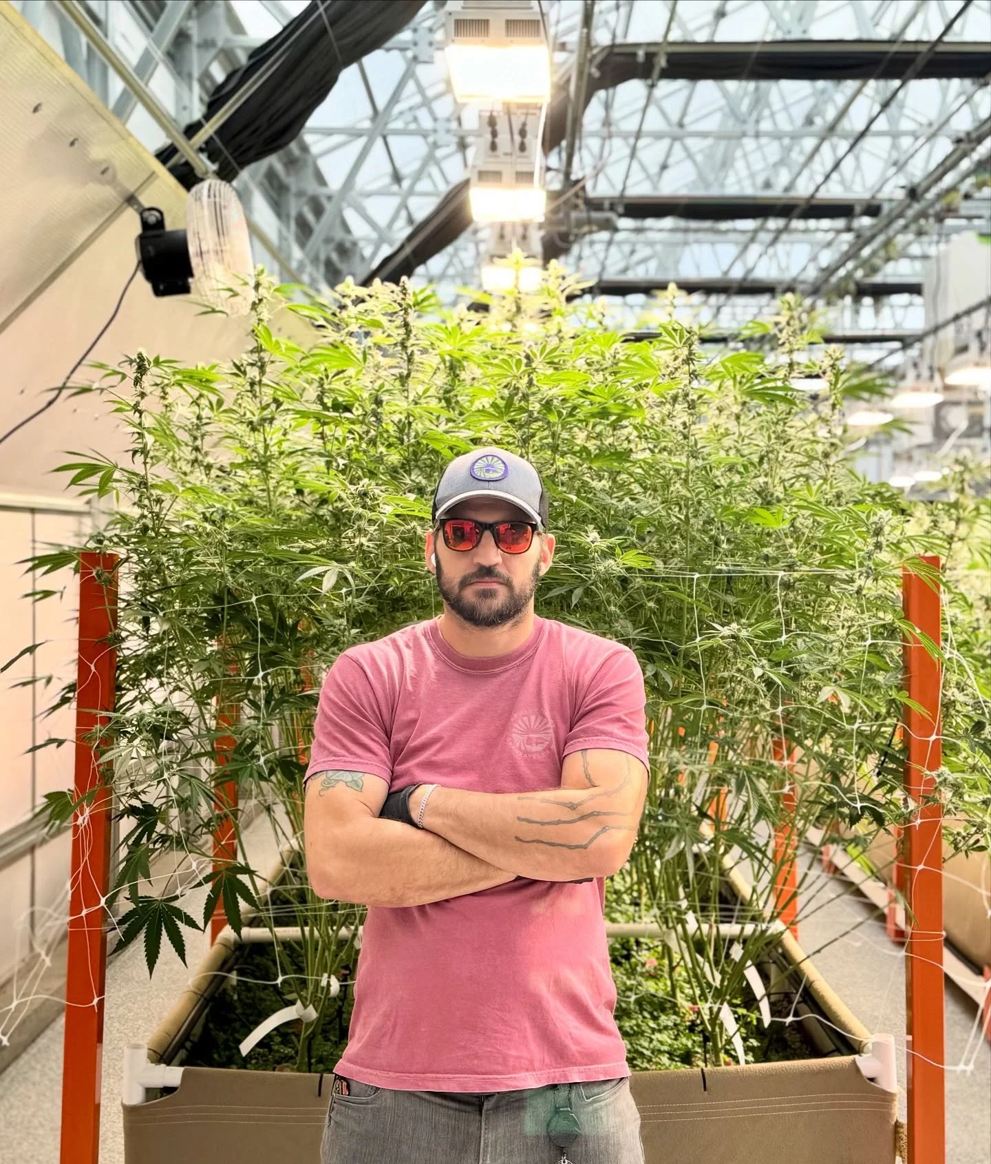 Our Director of Operations, Caleb Johnson, standing with Cap Junky, towering over all of its roommates. At week 5, this Alien Cookies x Kush Mints cross from Seed Junky and Capulator is stretching tall and starting to stack up frosty colas.