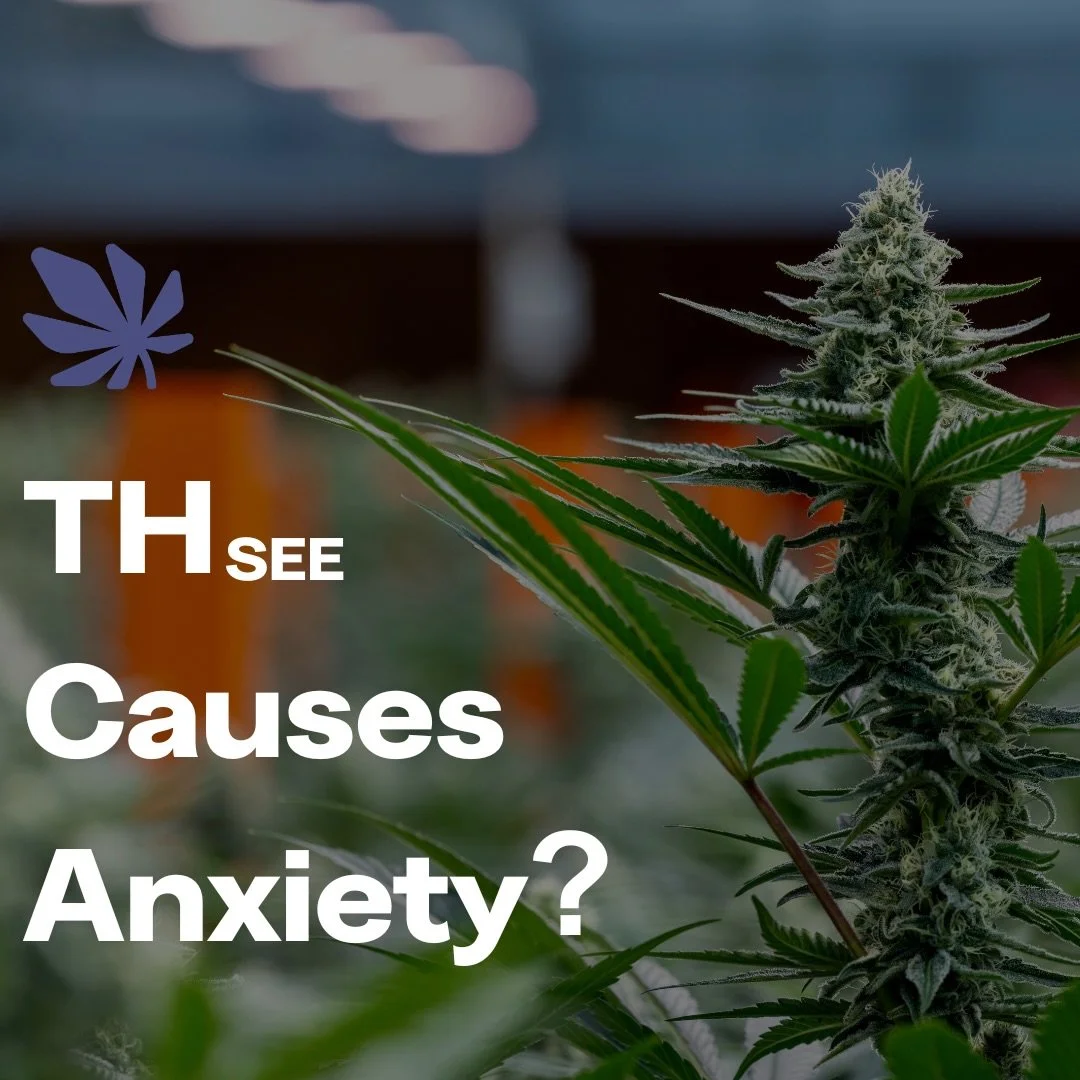 Ever heard that certain plant compounds automatically cause anxiety? It&rsquo;s not that simple. Dose matters.

At low amounts, some compounds interact with the nervous system in a way that may soften stress responses and promote a sense of calm.

At