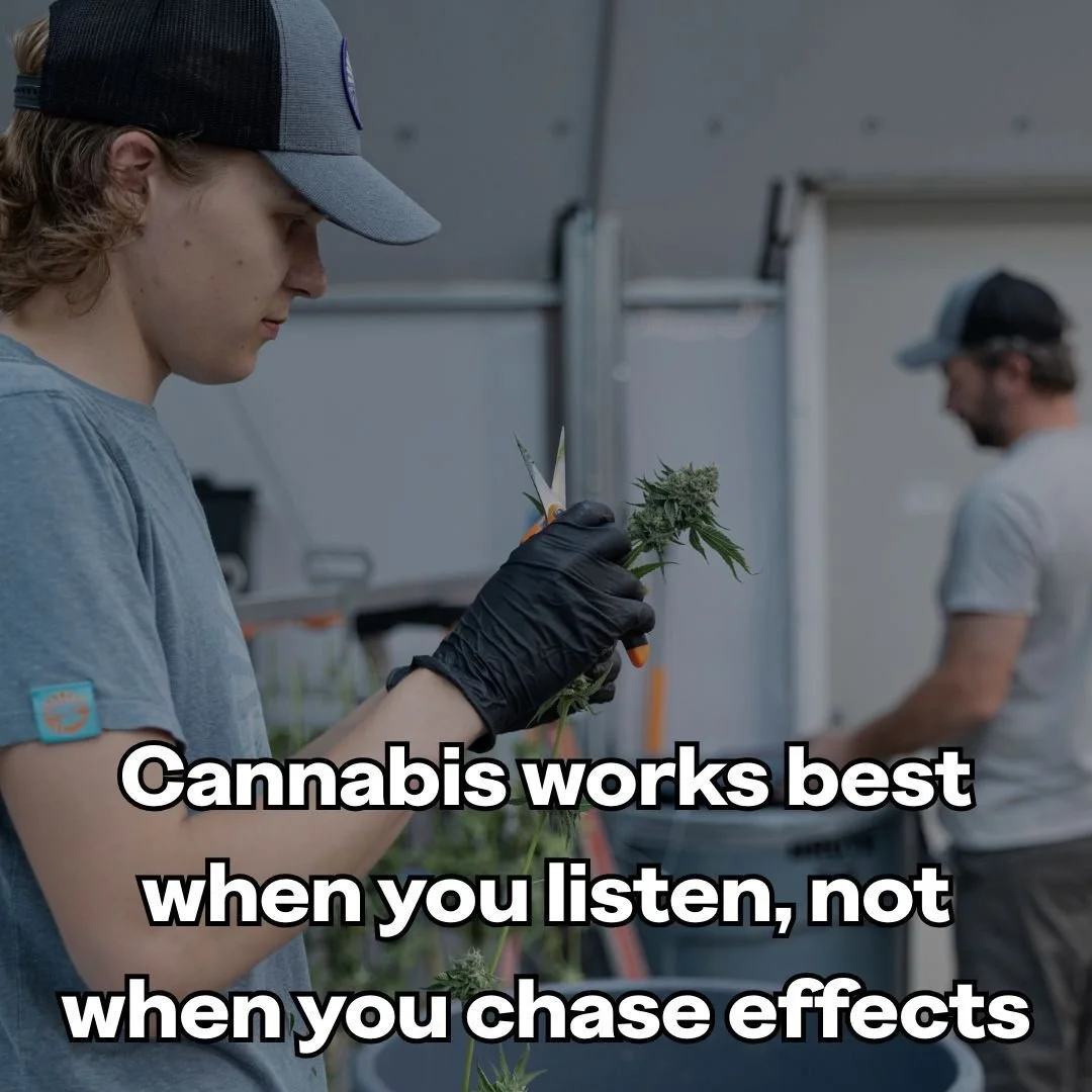 From plant to the person experiencing it, cannabis works best when you listen.