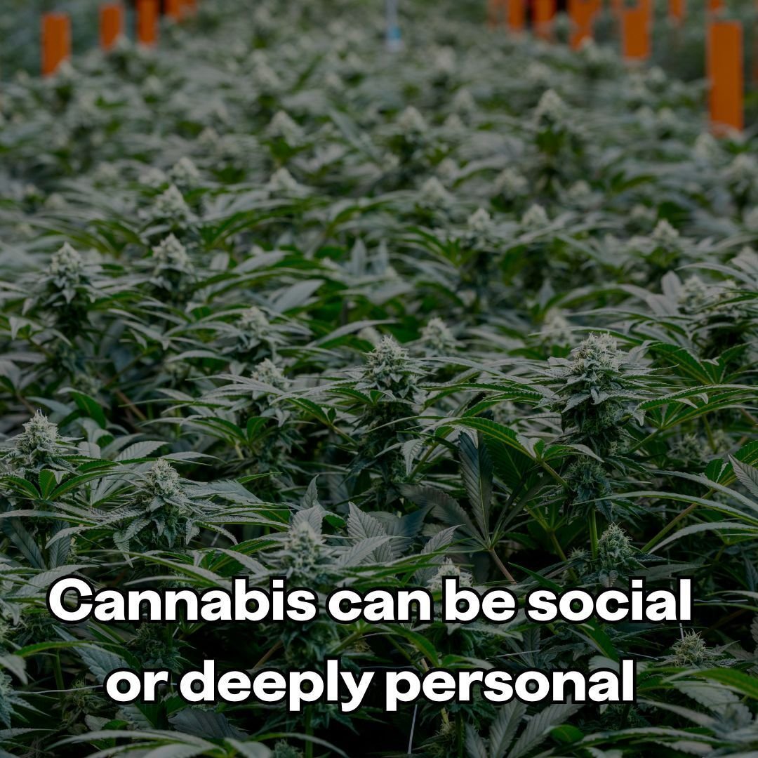 Whether you enjoy consuming alone, socially, or a mix of both, everyone has their own relationship with cannabis.