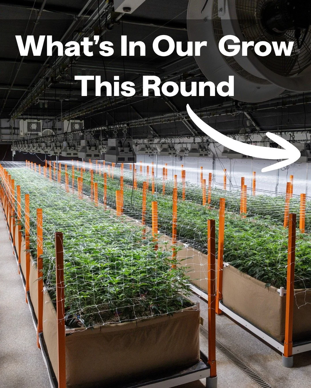 6 of some of our favorites  return this round, along with 1 new addition (not pictured).

Which one are you most excited about getting your hands on?