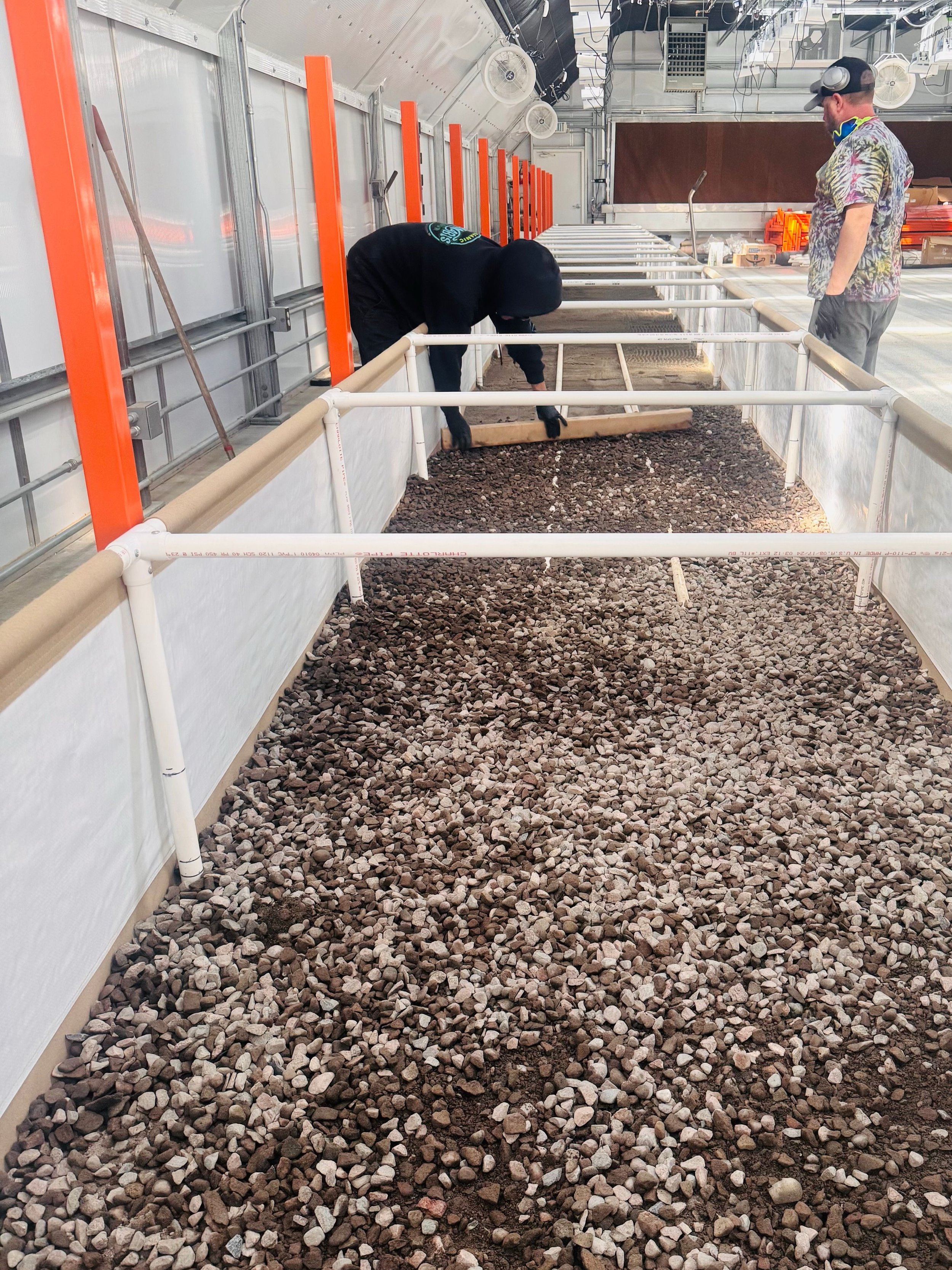Some shots from the buildout of the living soil beds in our second greenhouse 🌱

Things are coming along nicely. You can see the horizontal layering throughout the beds, reflecting our approach to biomimicry and working with natural soil processes r