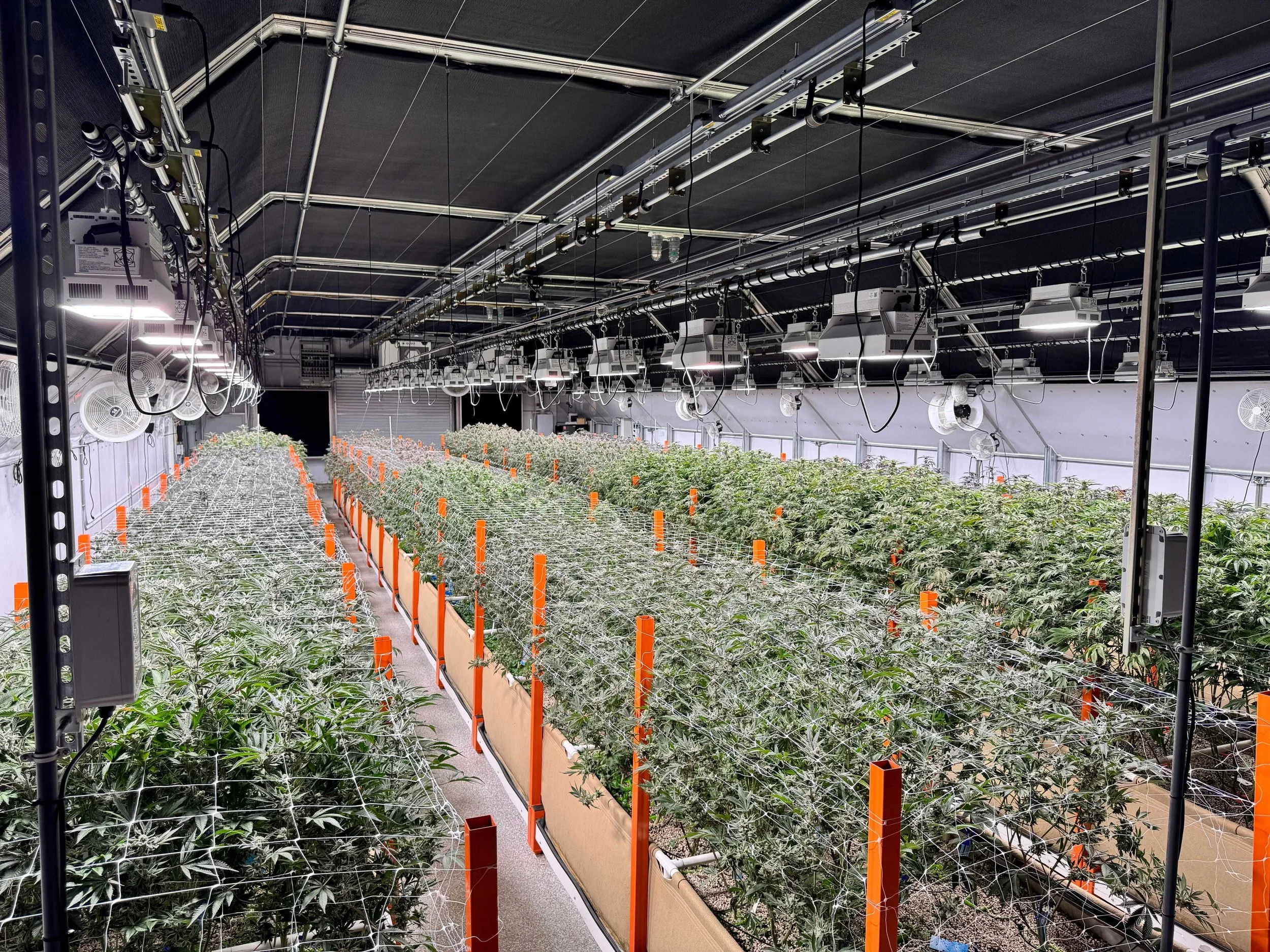 🌱 When most people think about cannabis, they think about the finished flower.

What they don&rsquo;t always see is everything that happens before harvest.

Thousands of decisions go into every crop long before a single flower is trimmed. This is th