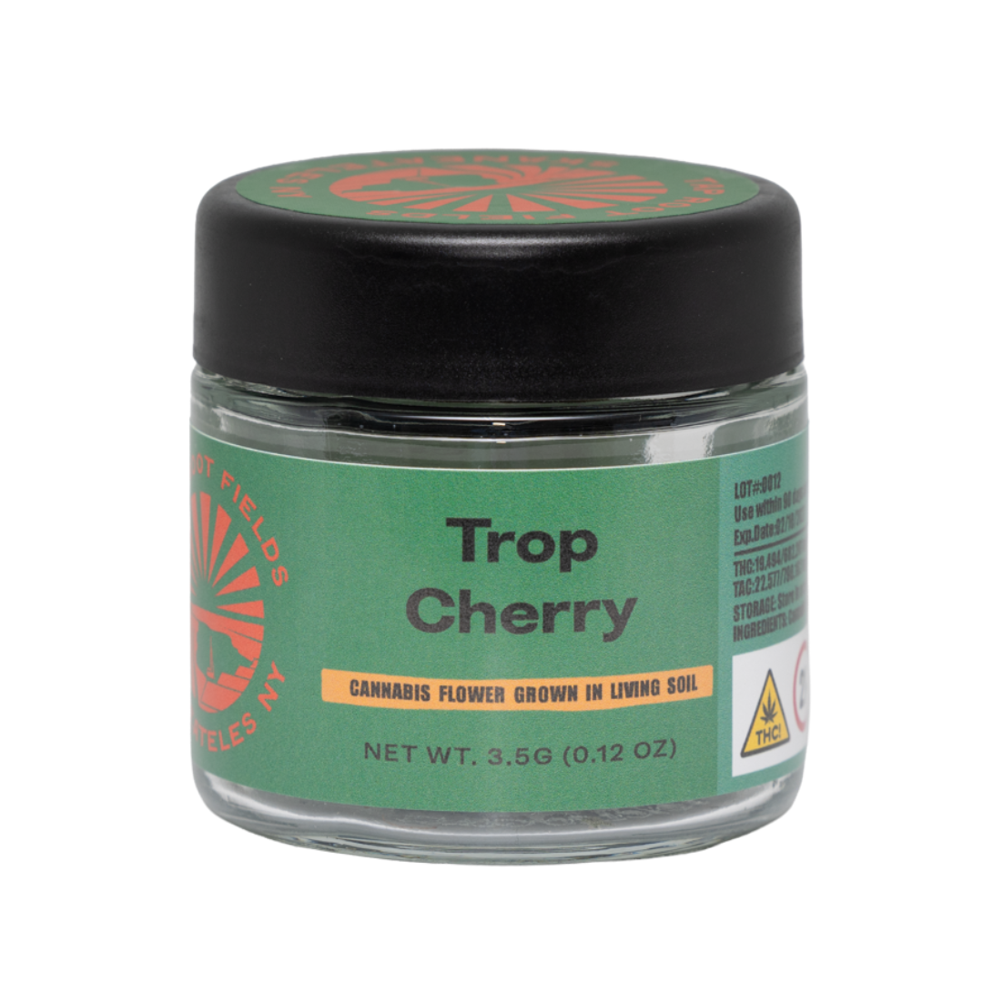 Trop Cherry (A)