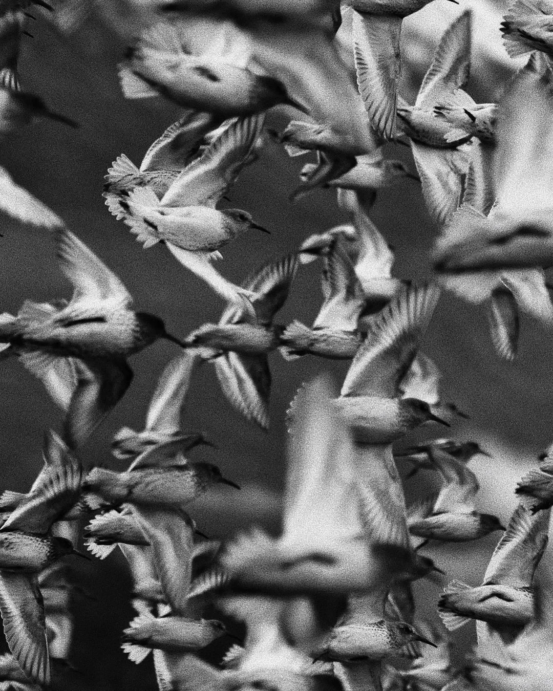 The Invisible Infrastructure: Why Workplace Relationships Are Your Organization's Most Valuable Asset