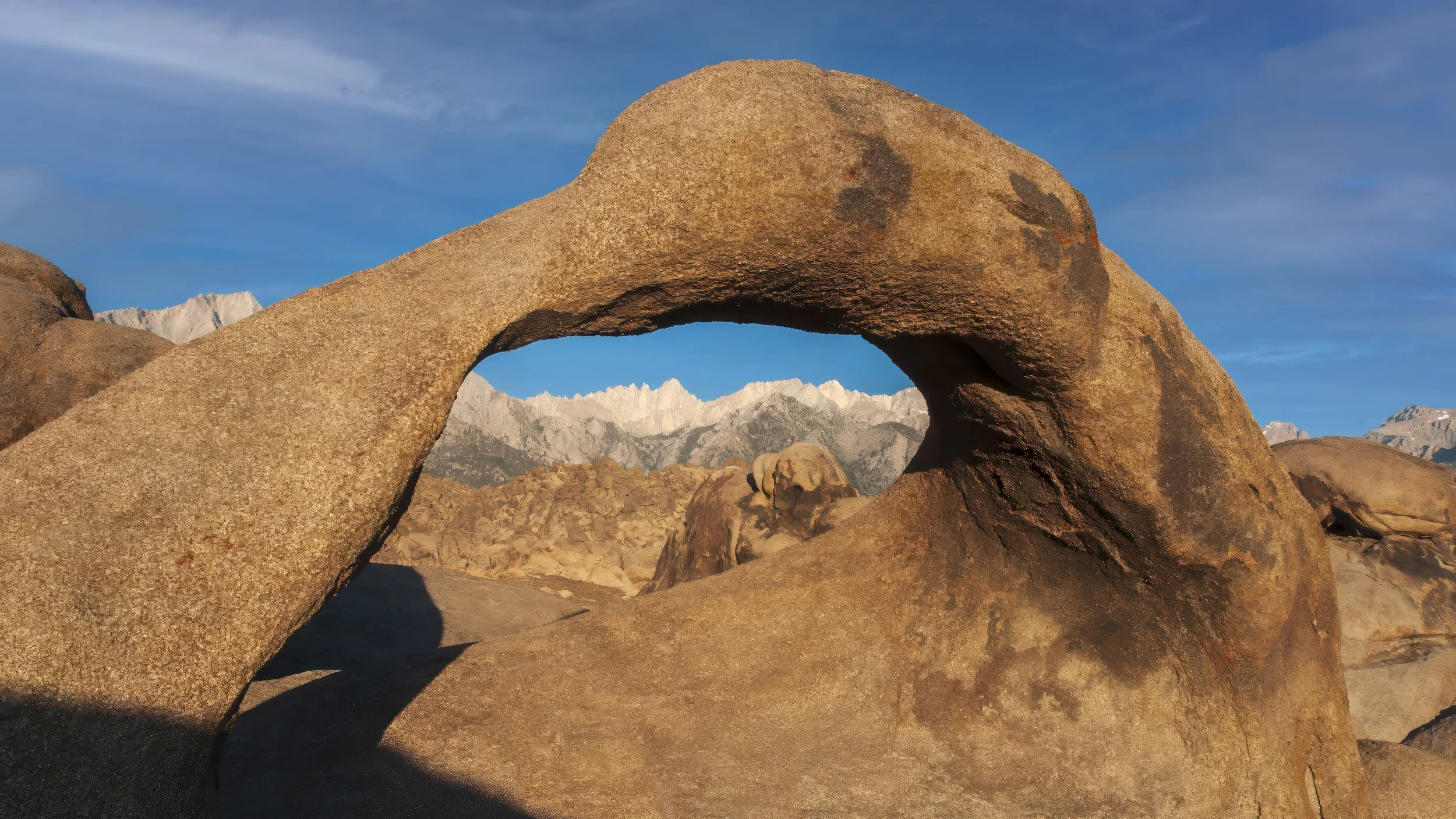 california2010-9222-Edit-Edit.jpg