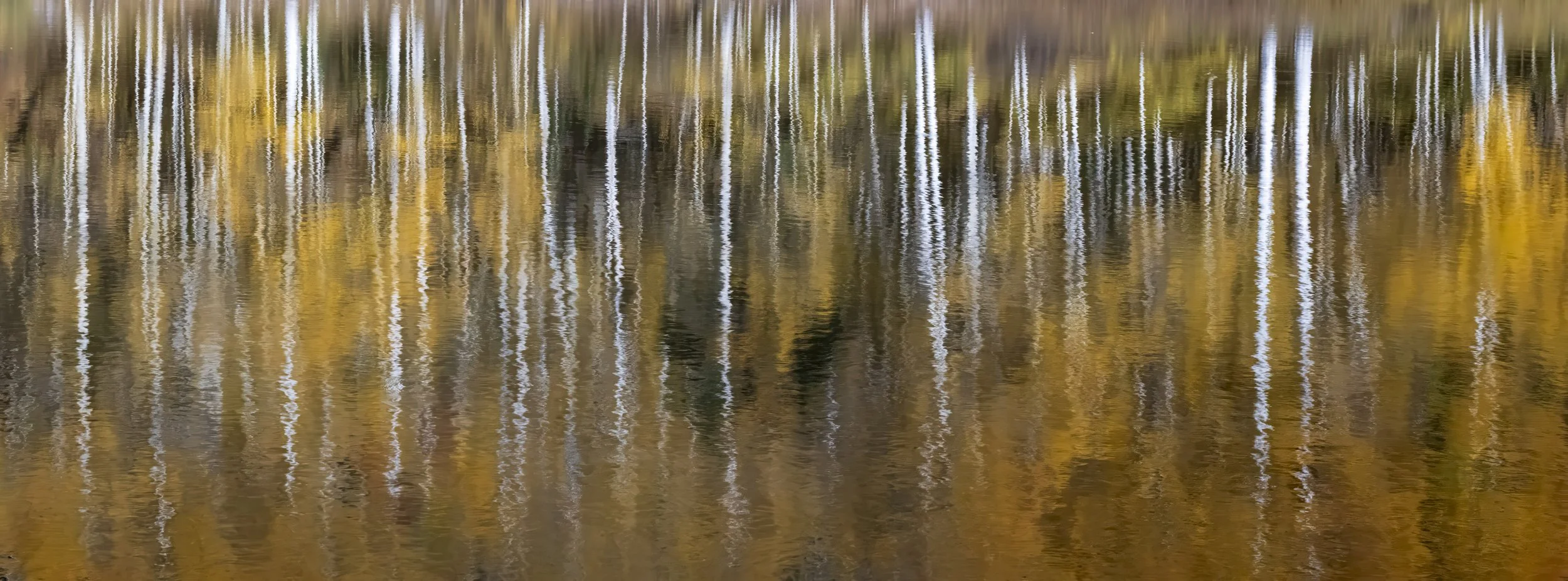 untitled shoot-8391-Edit.jpg