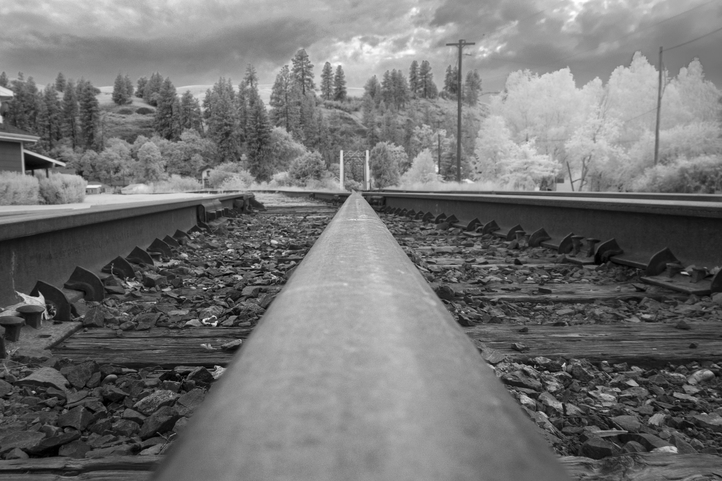 DSCF1308-Edit.jpg