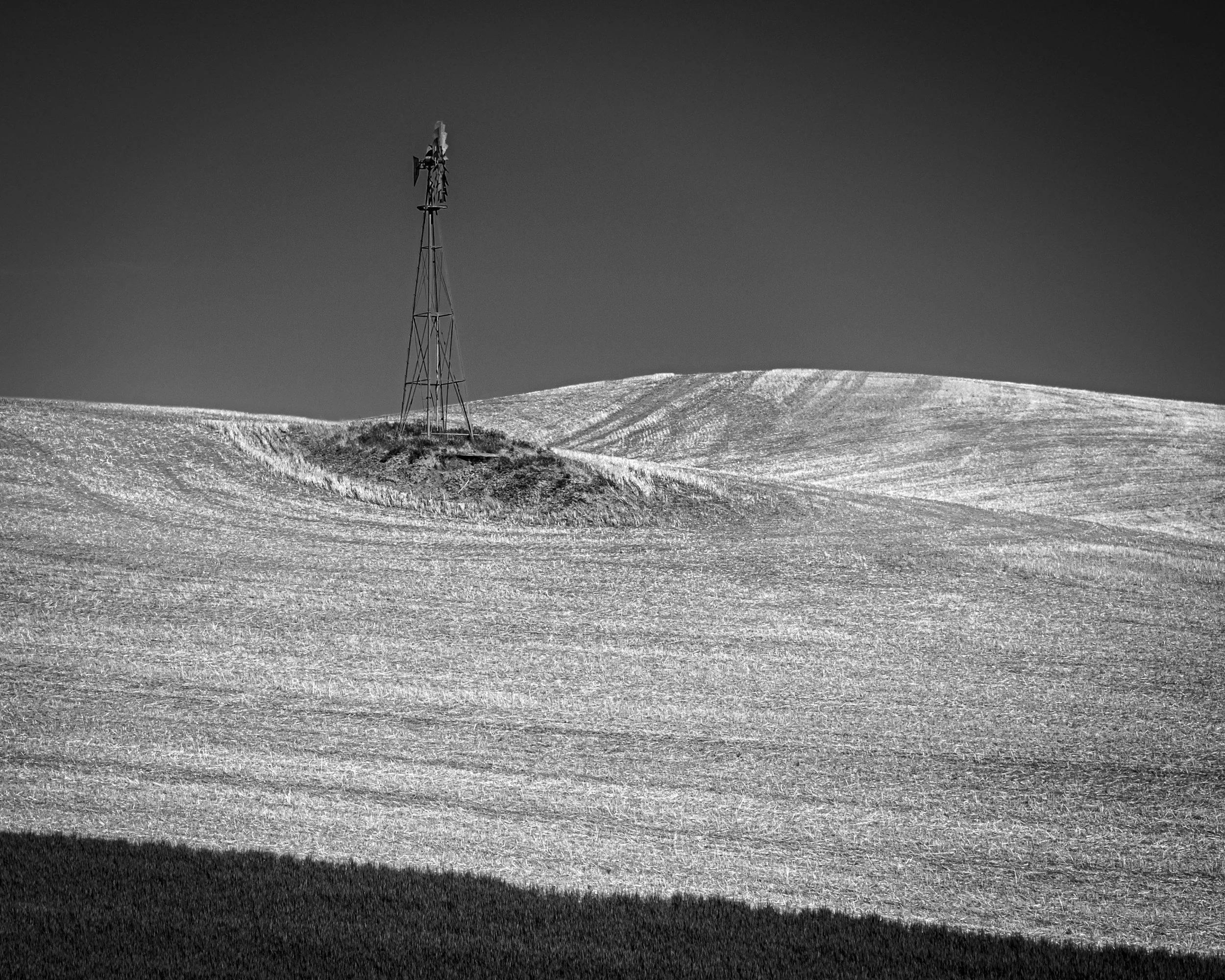 _DSF0285.jpg
