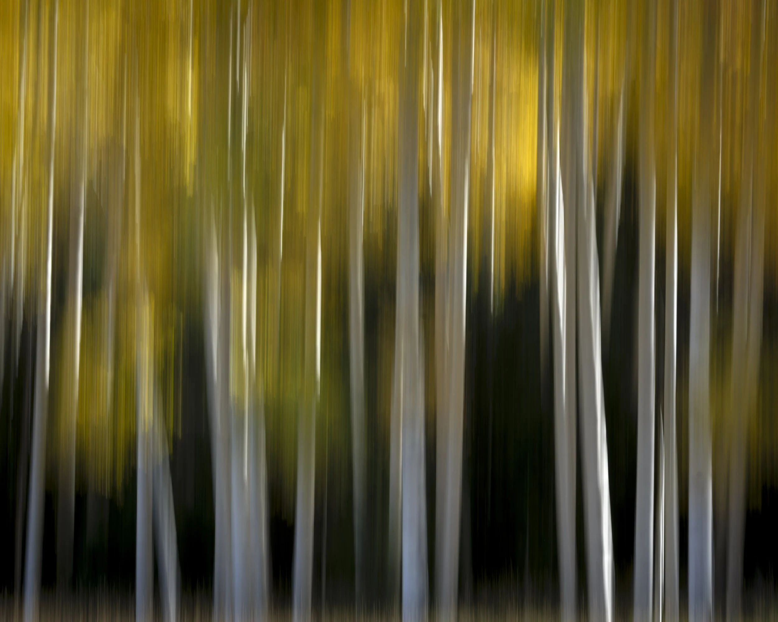 untitled shoot-2-32.jpg
