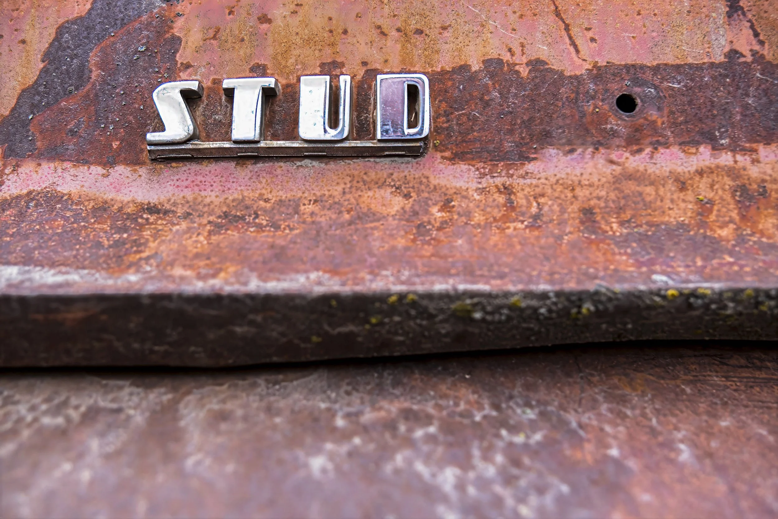 _DSF0611-Edit-3.jpg