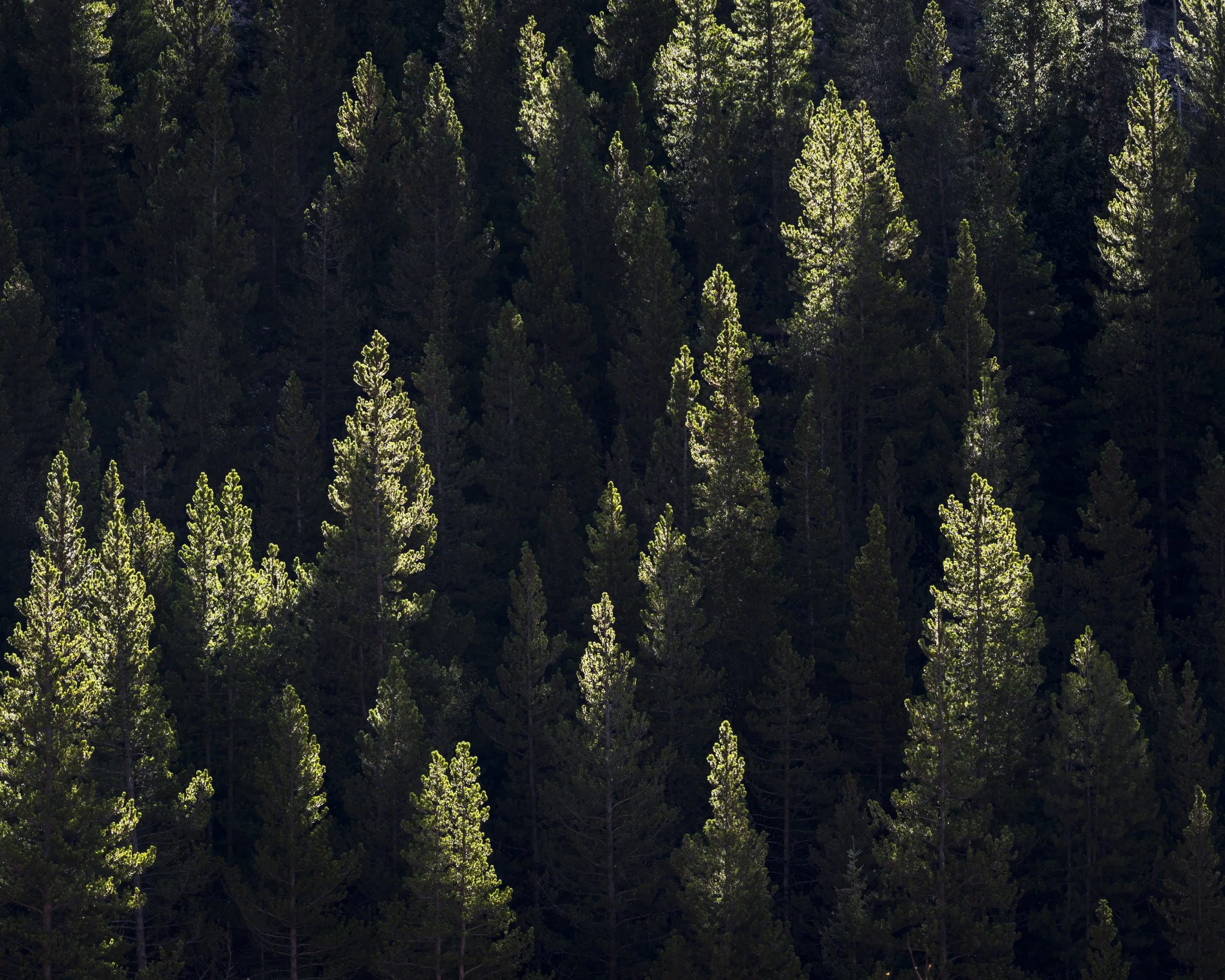 untitled shoot-8749-Edit.jpg