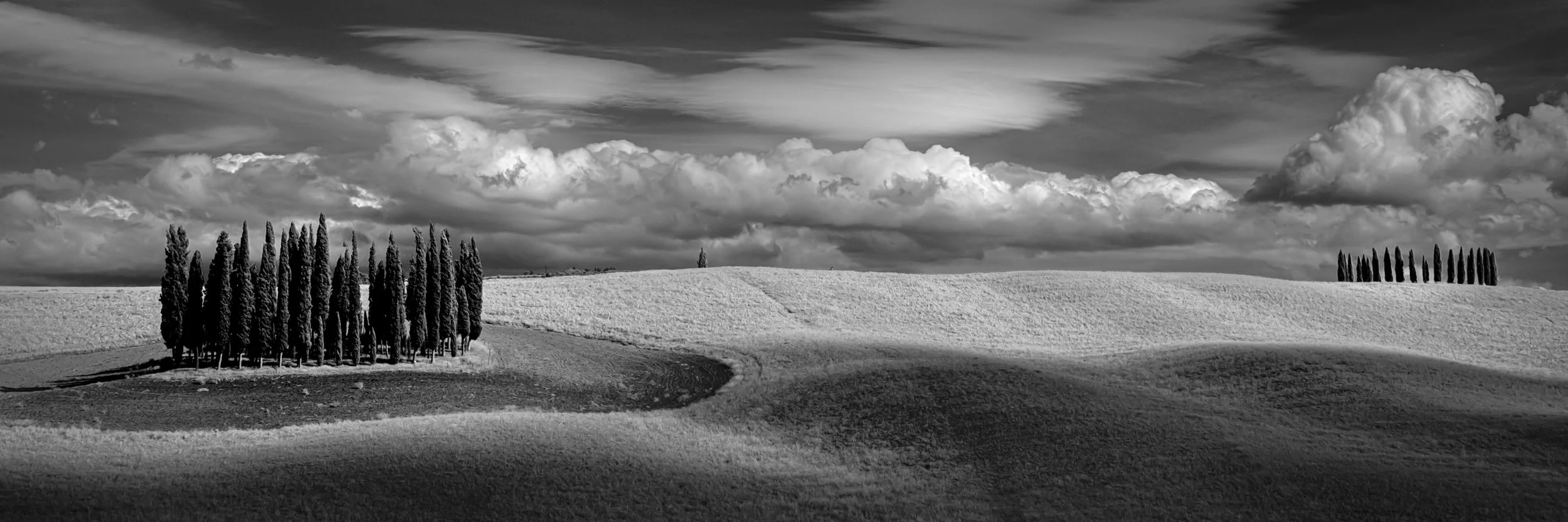 untitled shoot-3612-Edit.jpg
