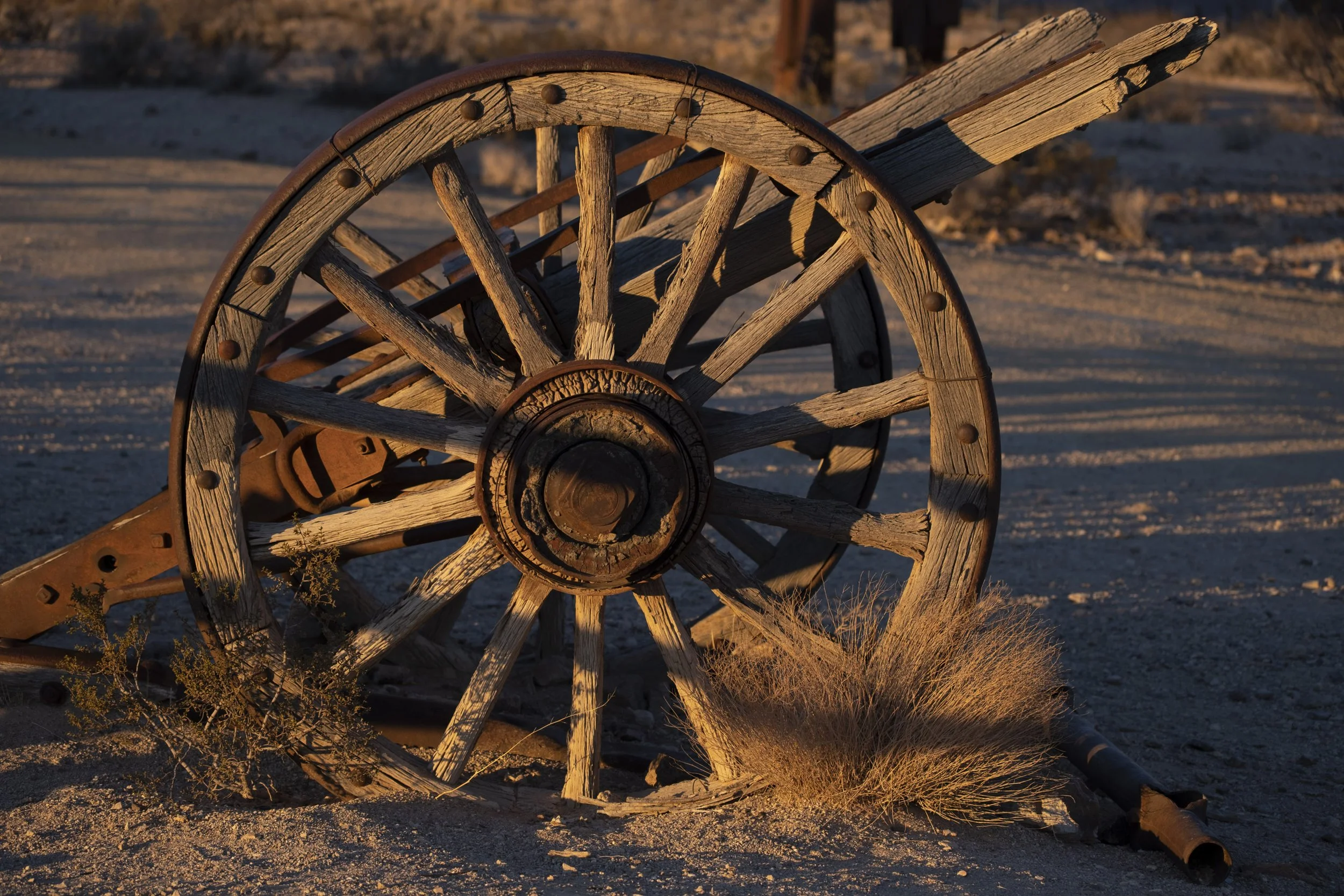 untitled shoot-0485.jpg