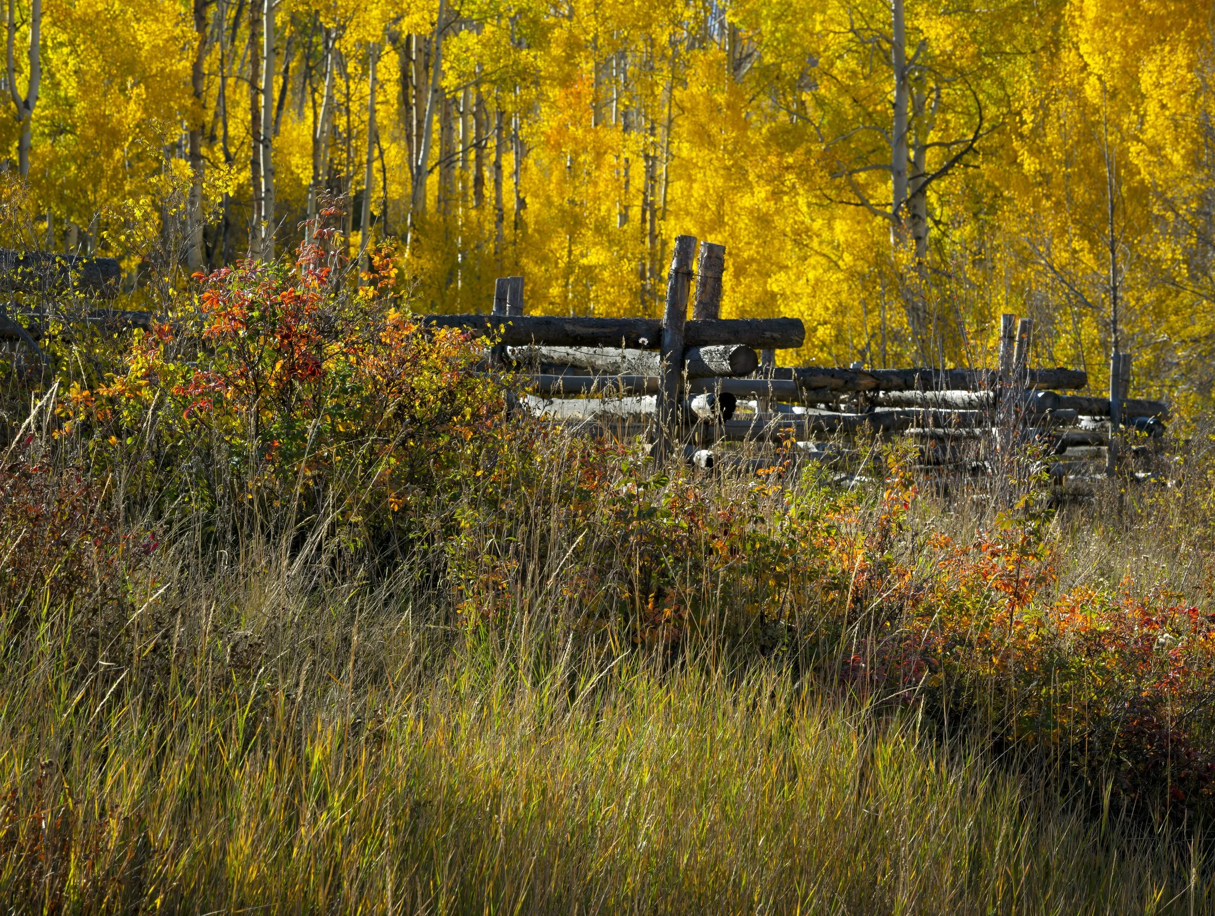 untitled shoot-8282-Edit.jpg