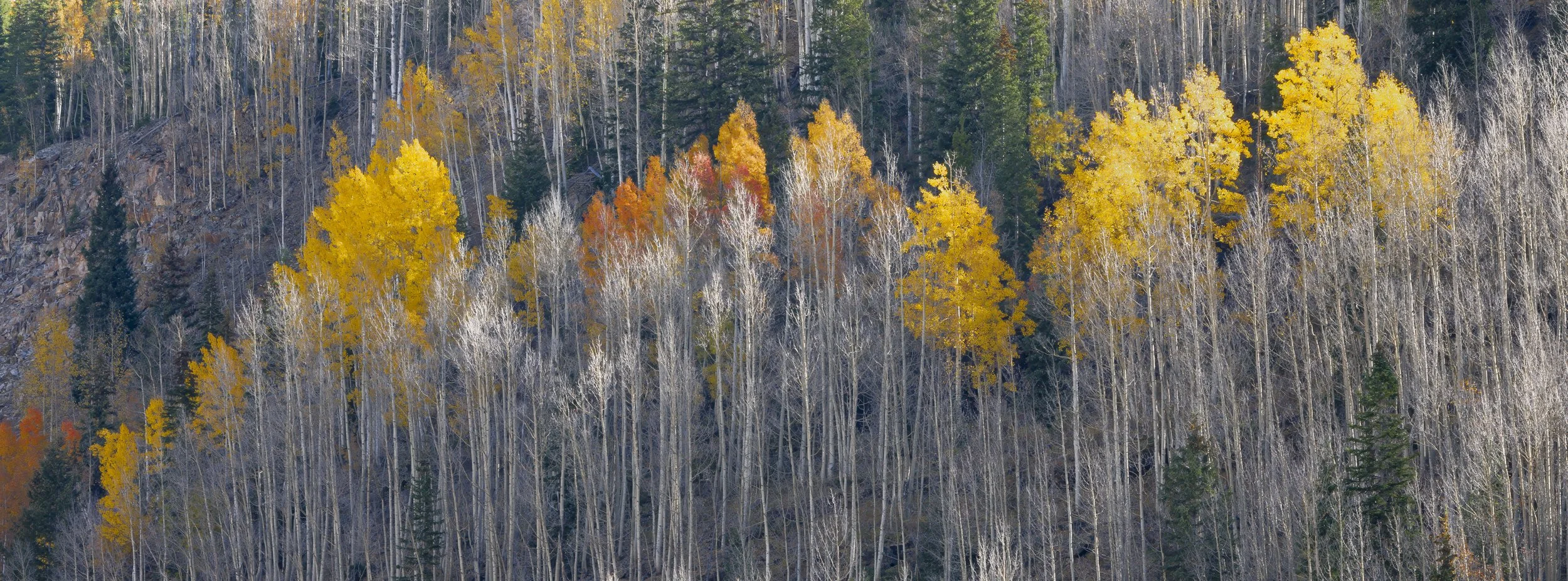 untitled shoot-8807-Edit-2.jpg