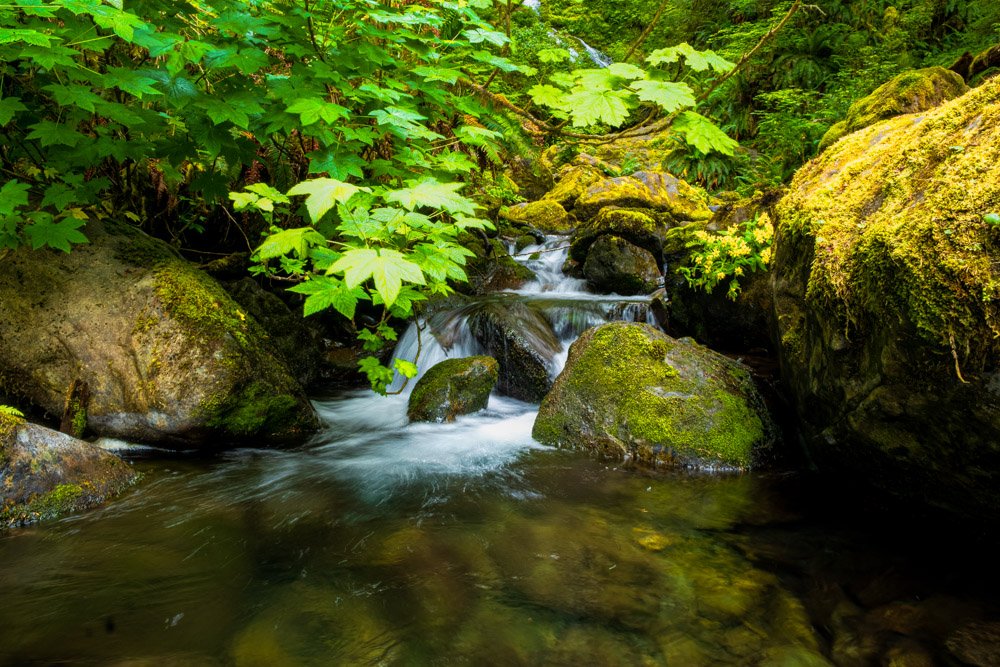 untitled shoot-3027-Edit.jpg