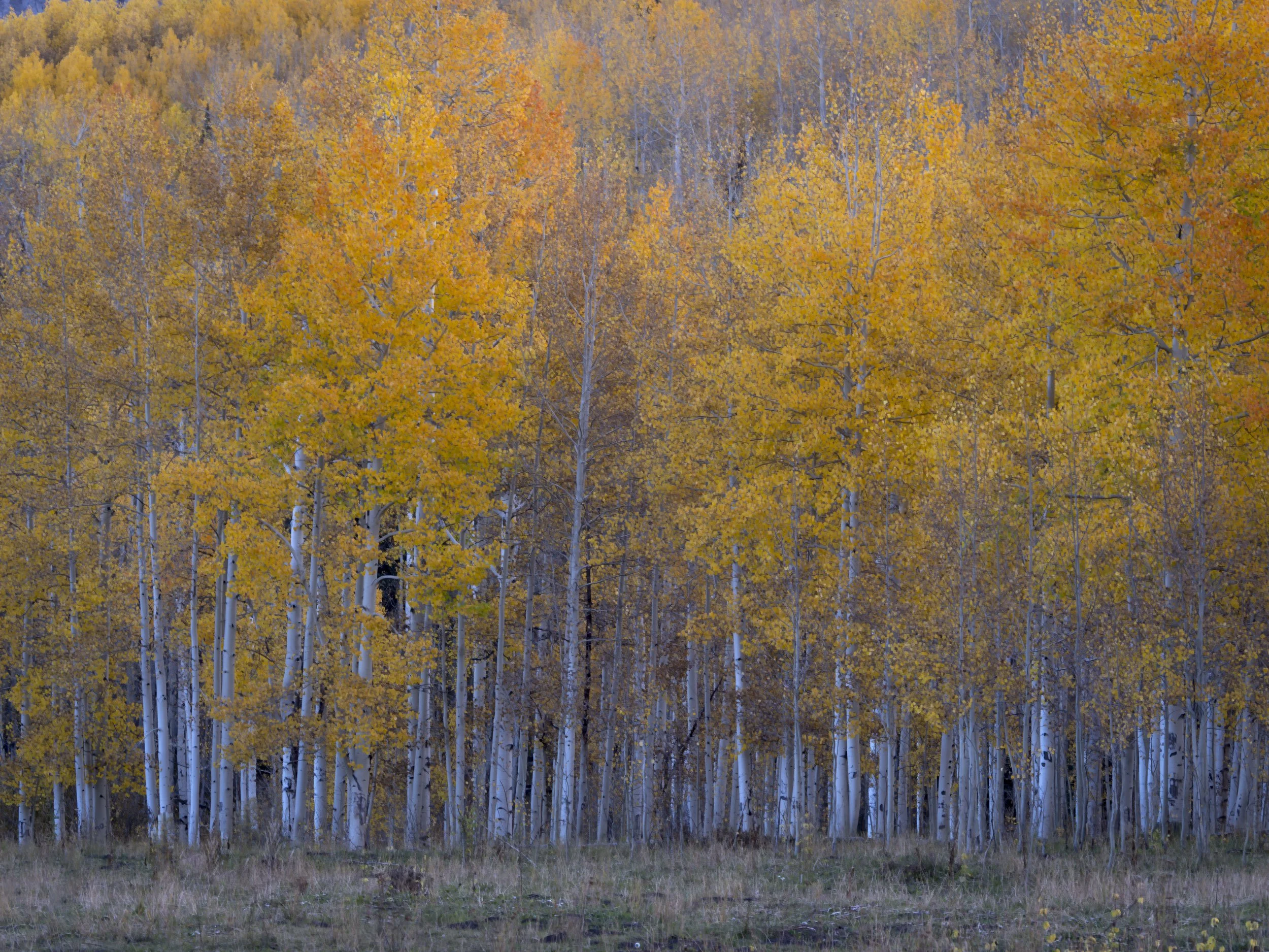 untitled shoot-2-171-Edit.jpg