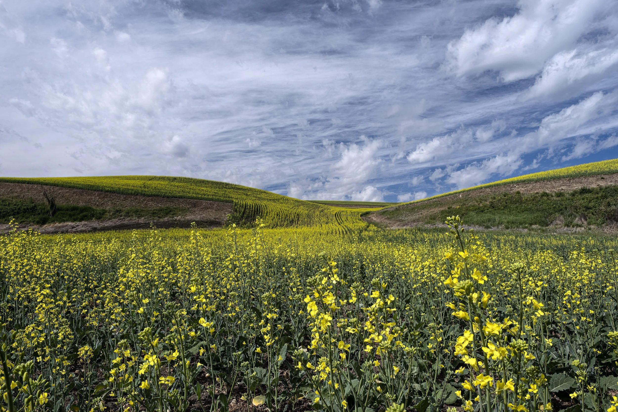 _DSF9978-Edit-2.jpg