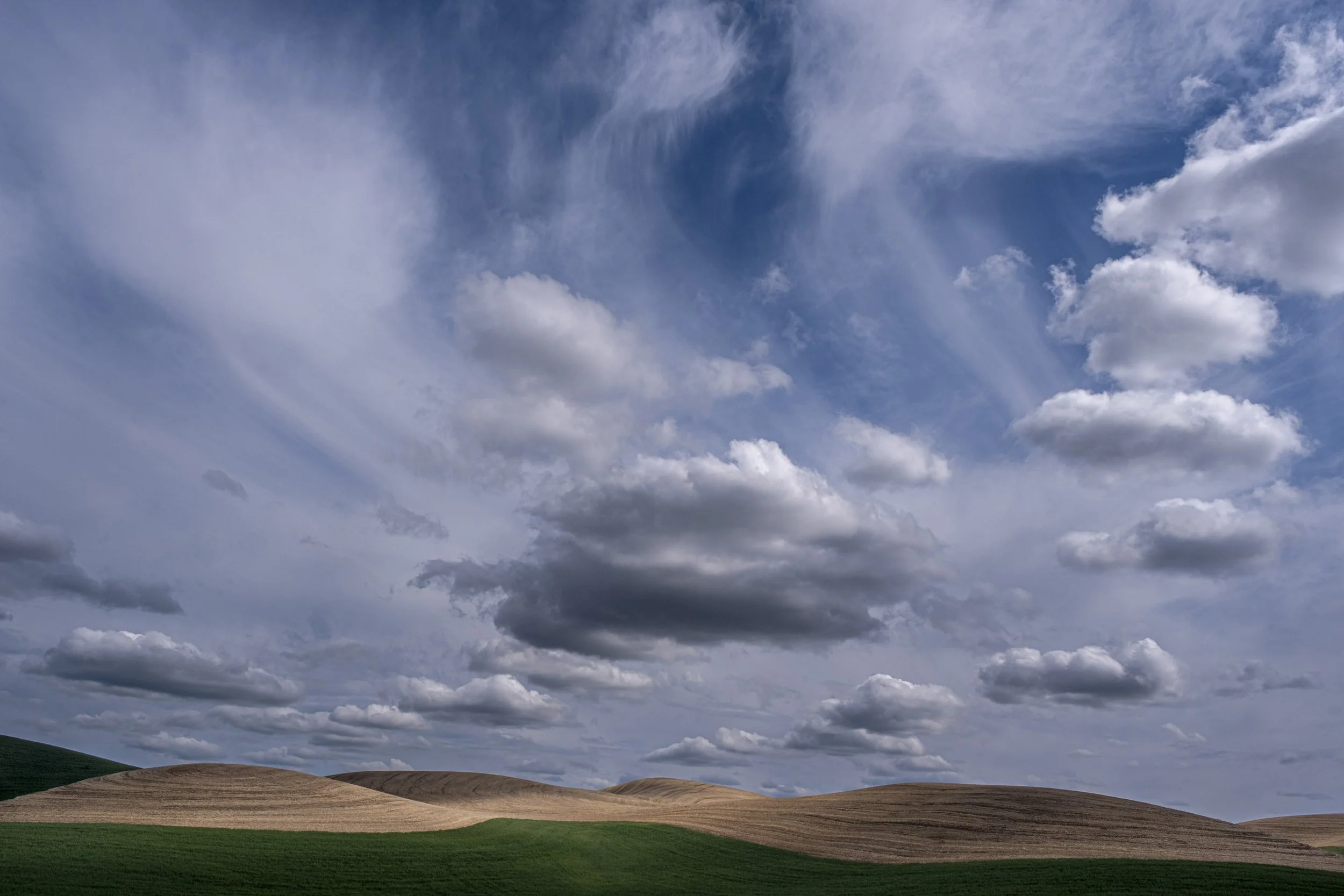 _DSF0720.jpg
