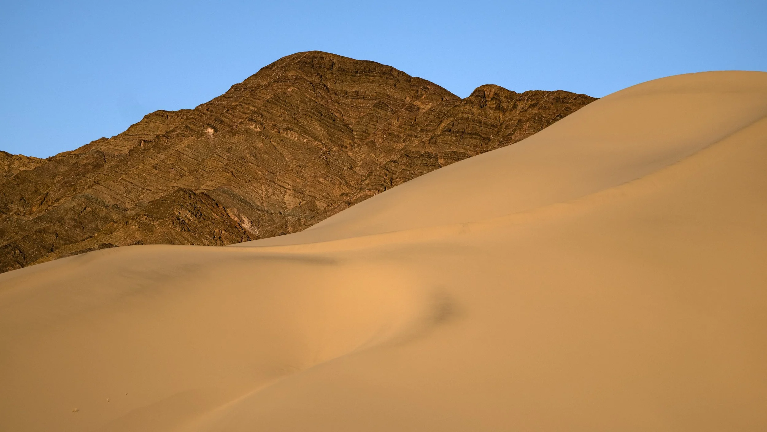 untitled shoot-0817.jpg