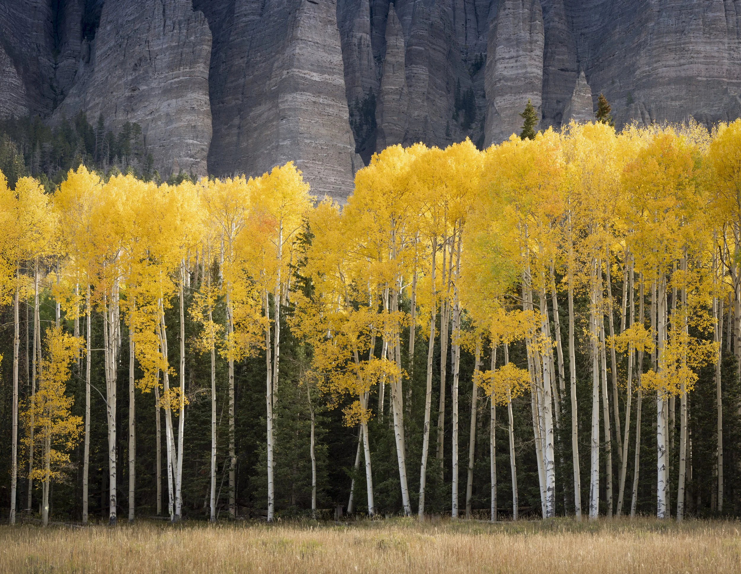 untitled shoot-2-122-Edit-Edit-Edit.jpg