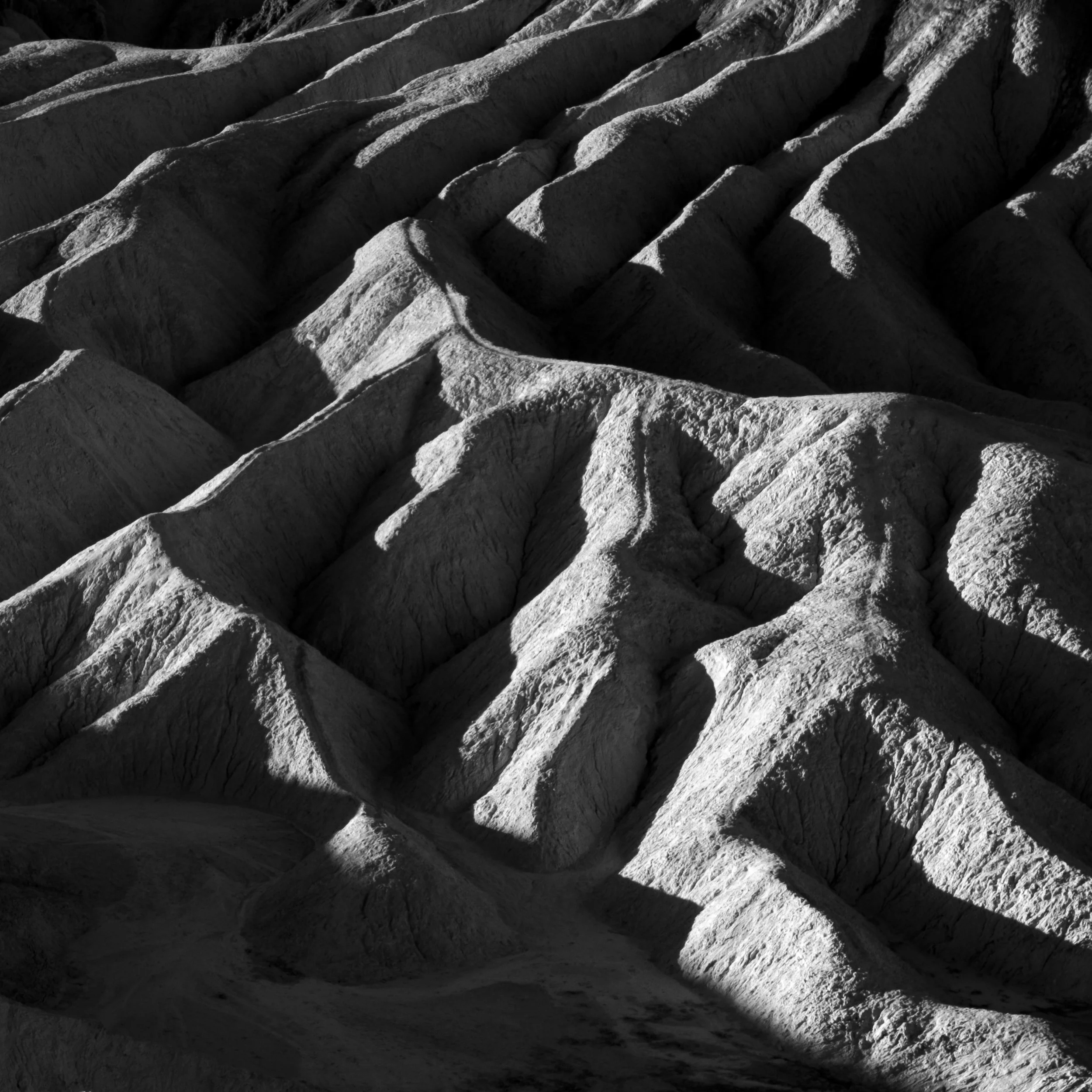 untitled shoot-2447-2.jpg