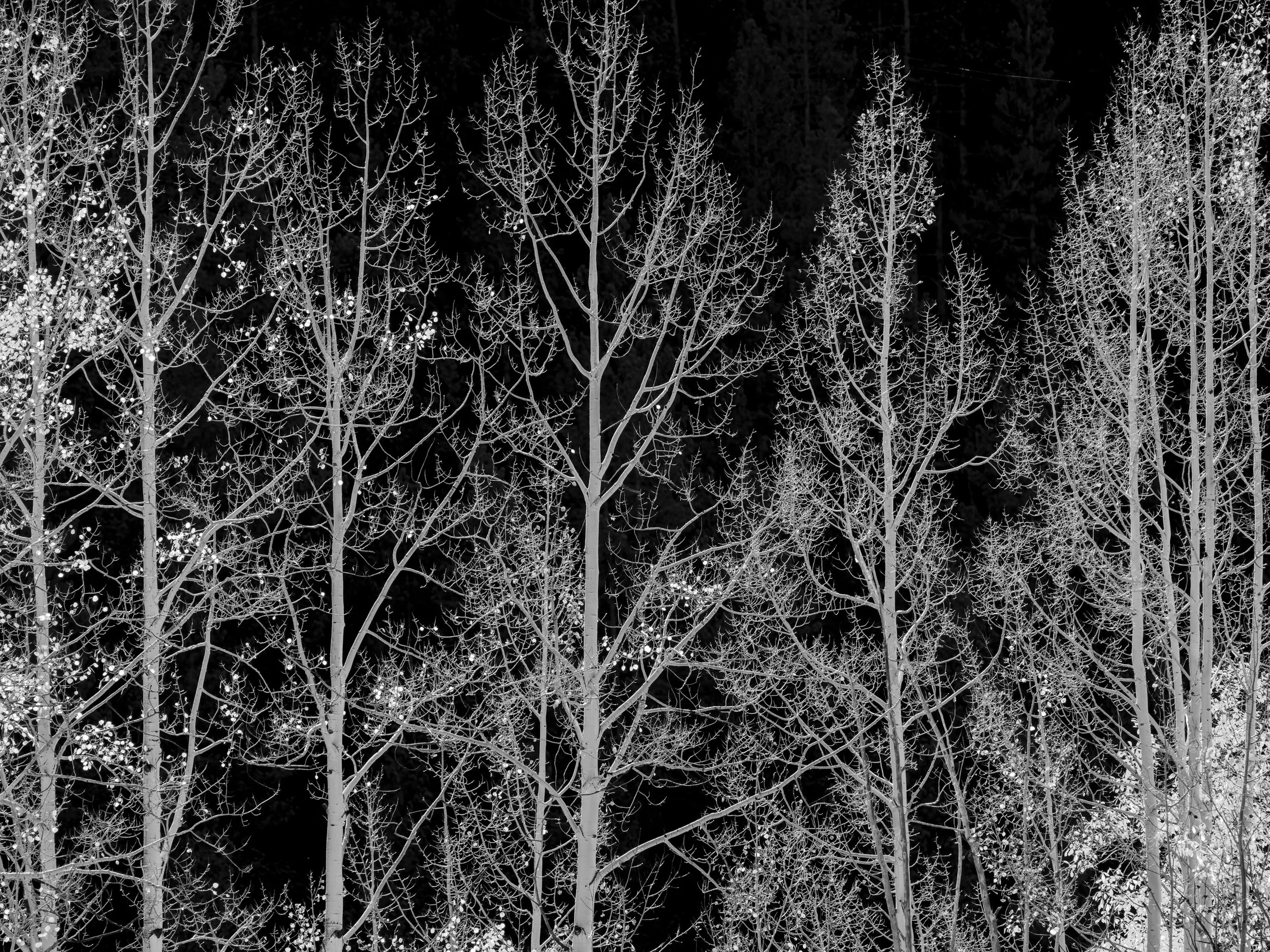 untitled shoot-8698-Edit.jpg