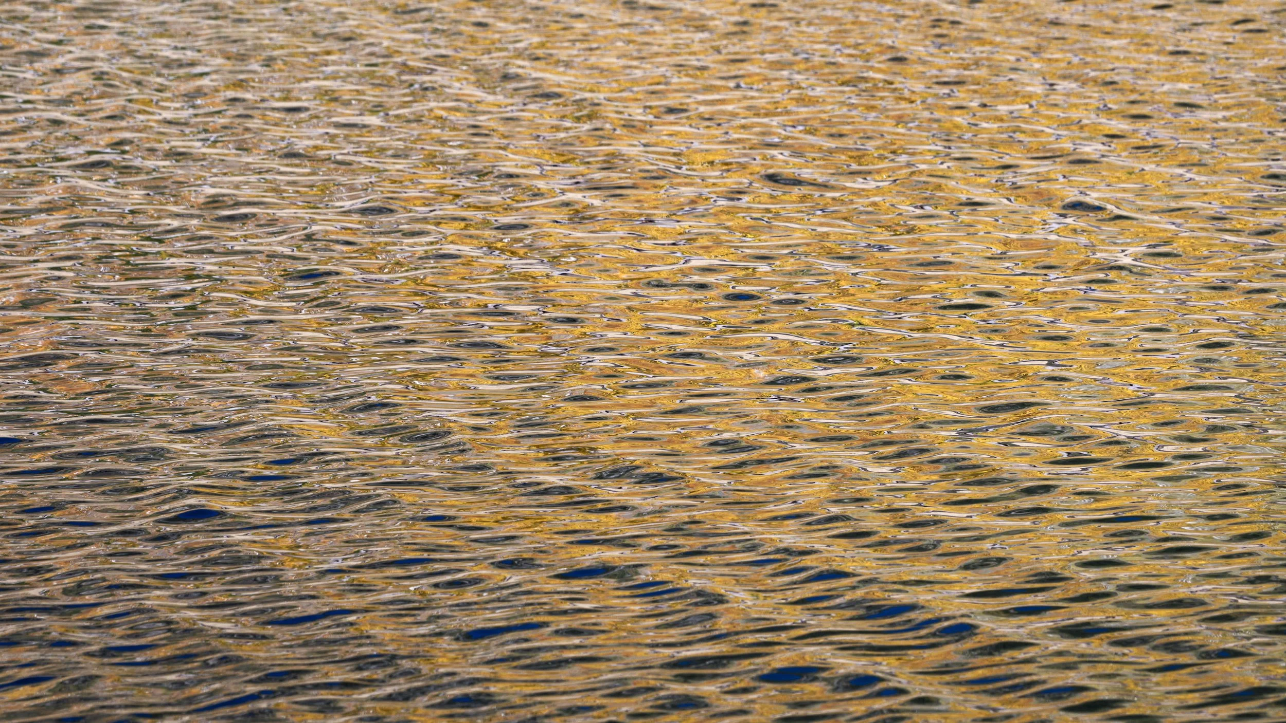 untitled shoot-8473.jpg