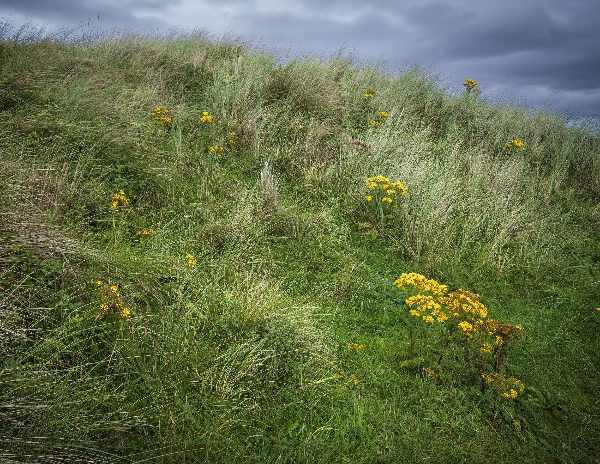 Ireland-1424-Edit.jpg