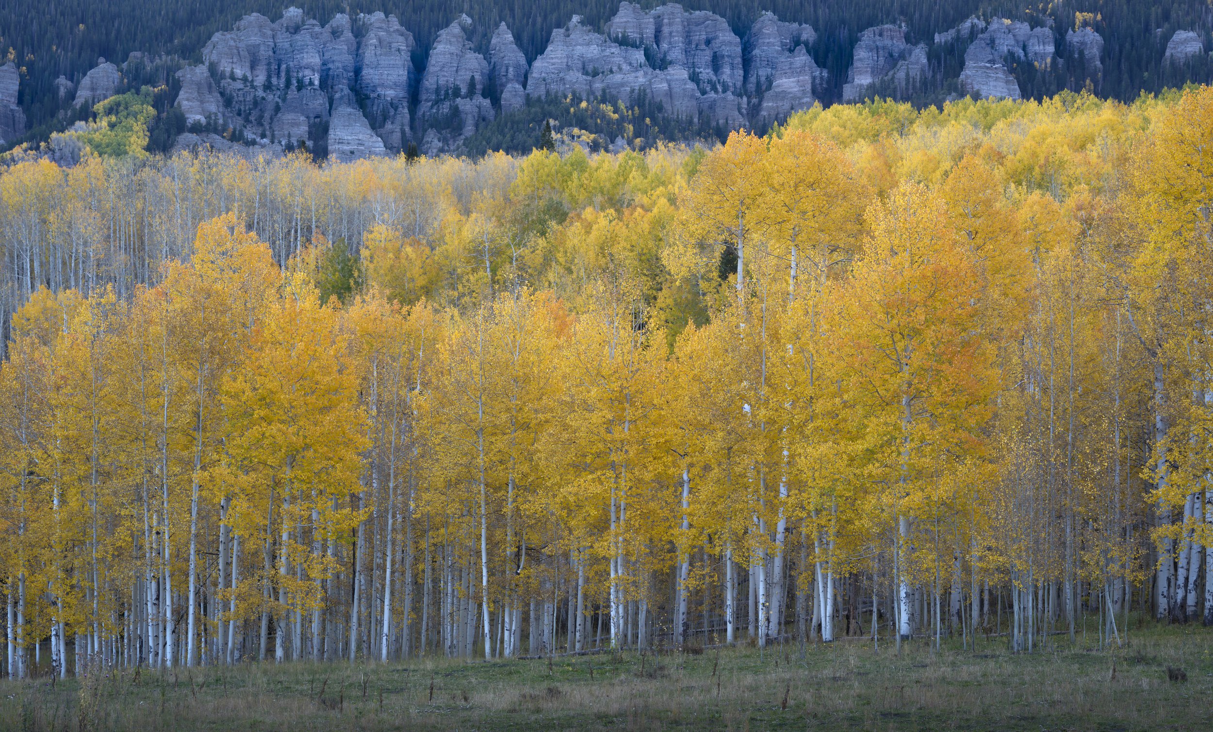 untitled shoot-2-132-Edit-Edit.jpg