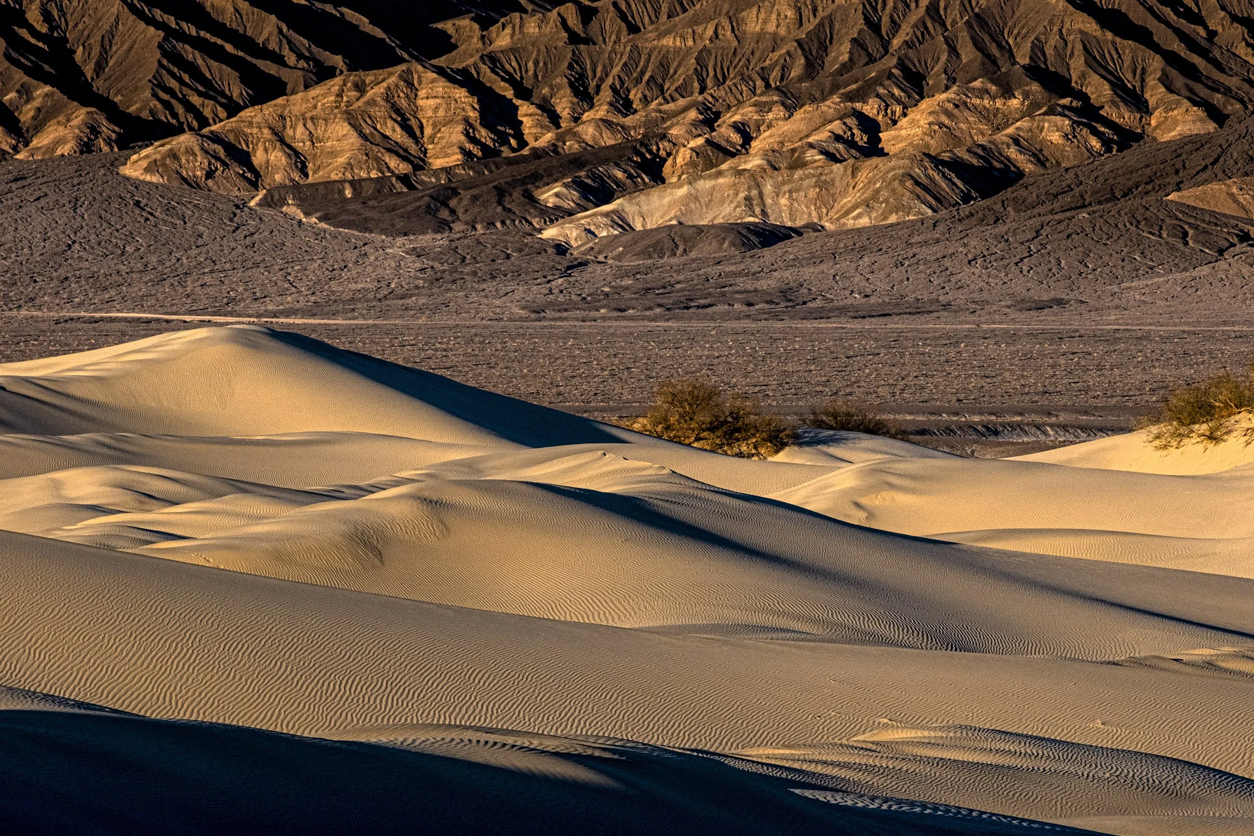 untitled shoot-0023.jpg