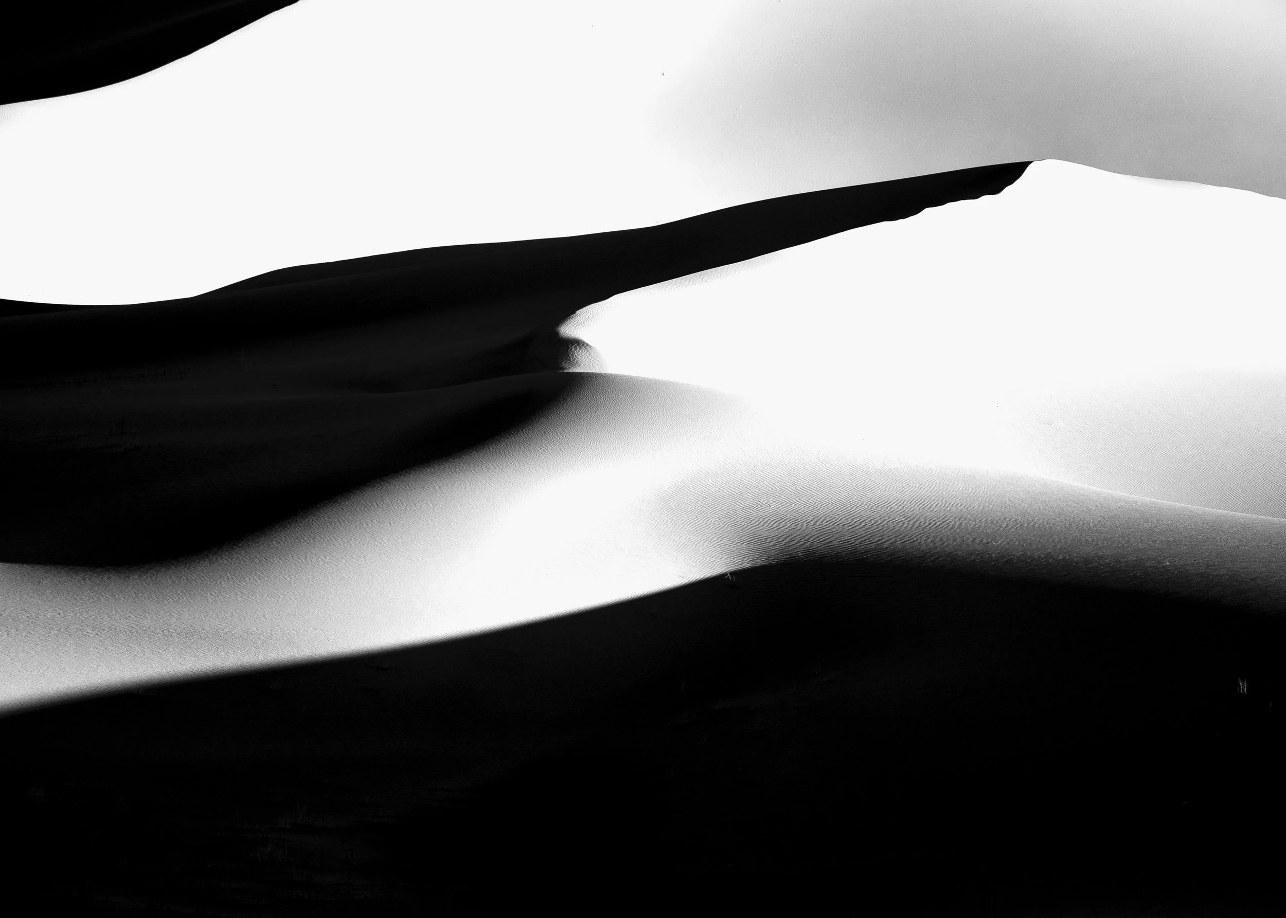 untitled shoot-0834.jpg