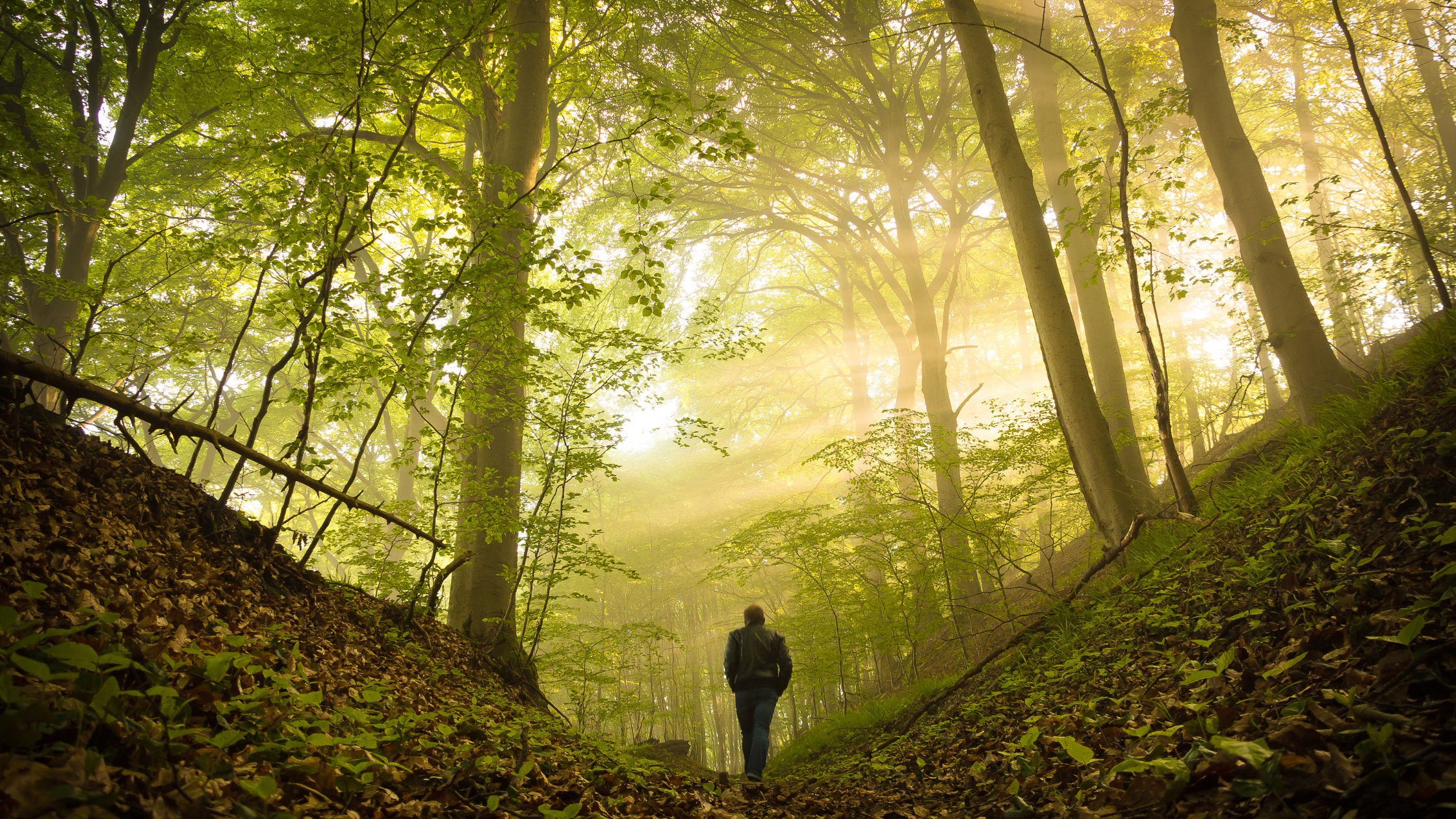 How Relationship Patterns Show Up in Individual Therapy