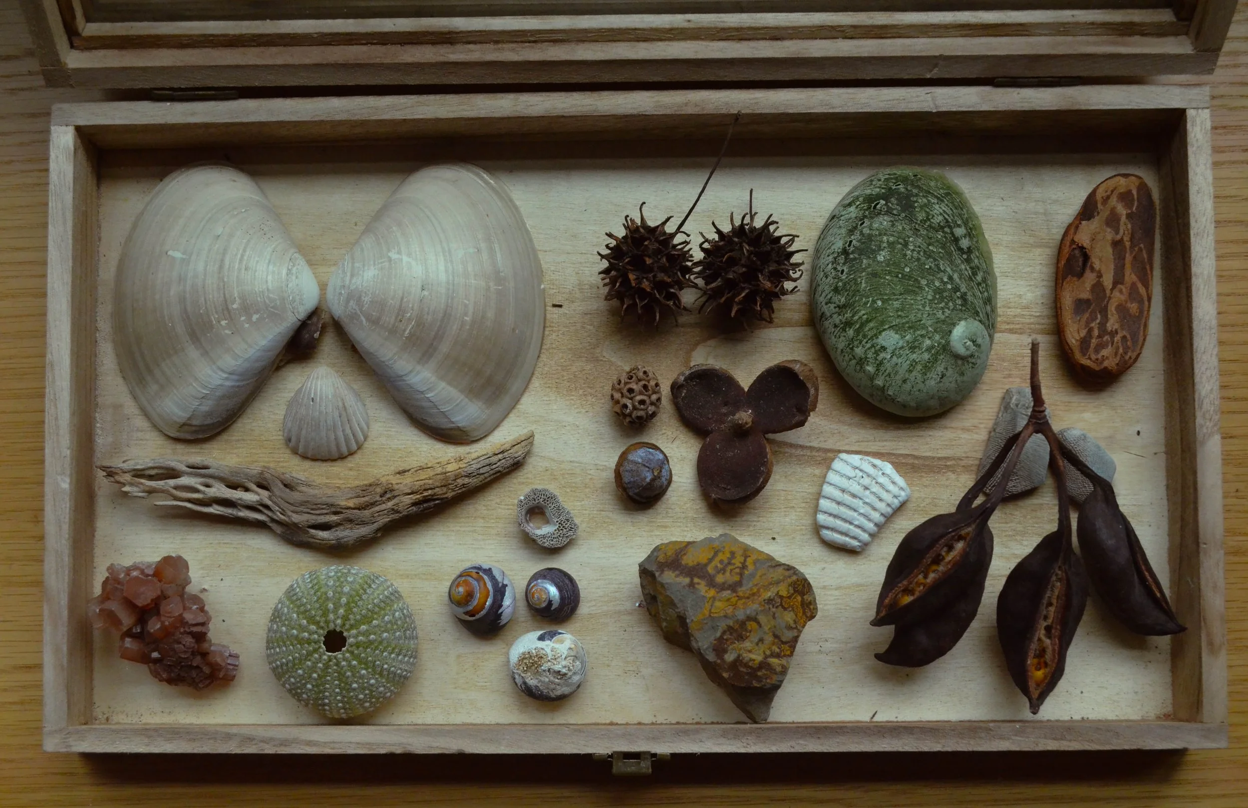 DANILOVA_ANNA_RITUAL_MEMENTOS-3.jpg