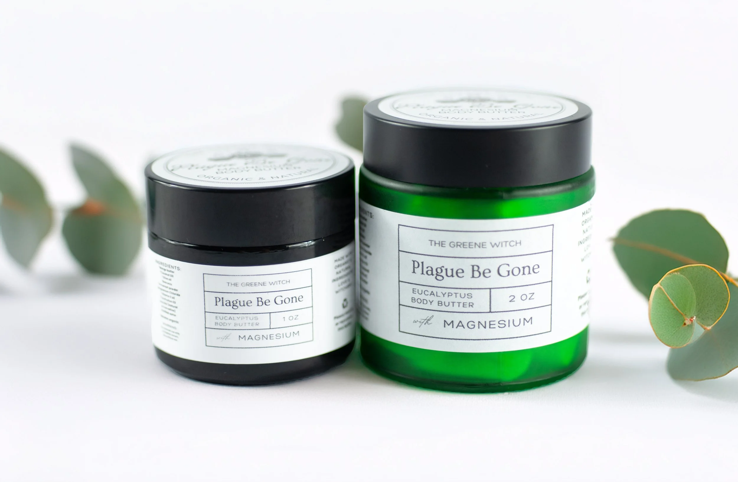 plague be gone 6.jpg