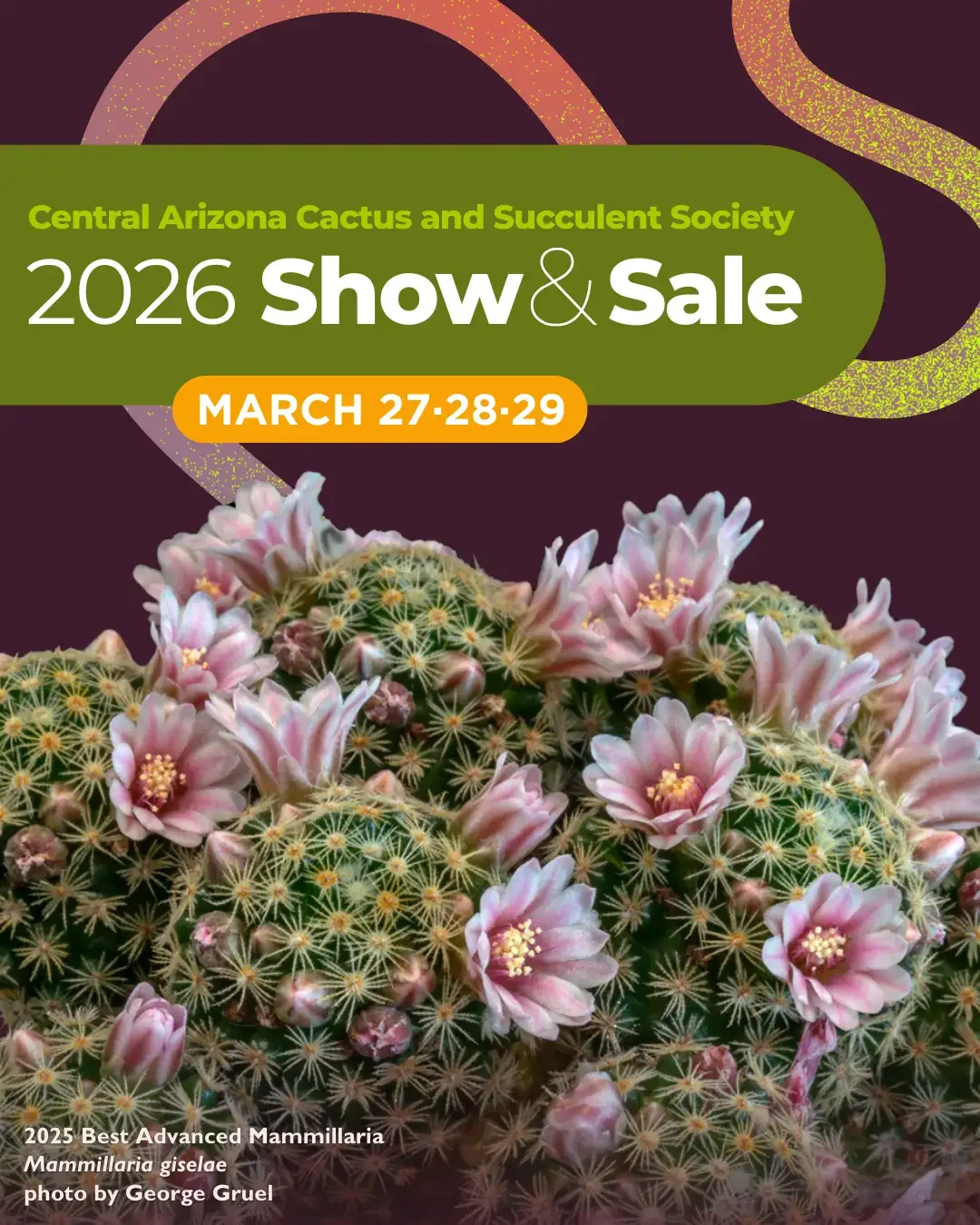 Central Arizona C&SS – Show & Sale 2026