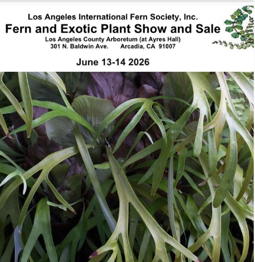 Fern and Exotic Plant Show and Sale